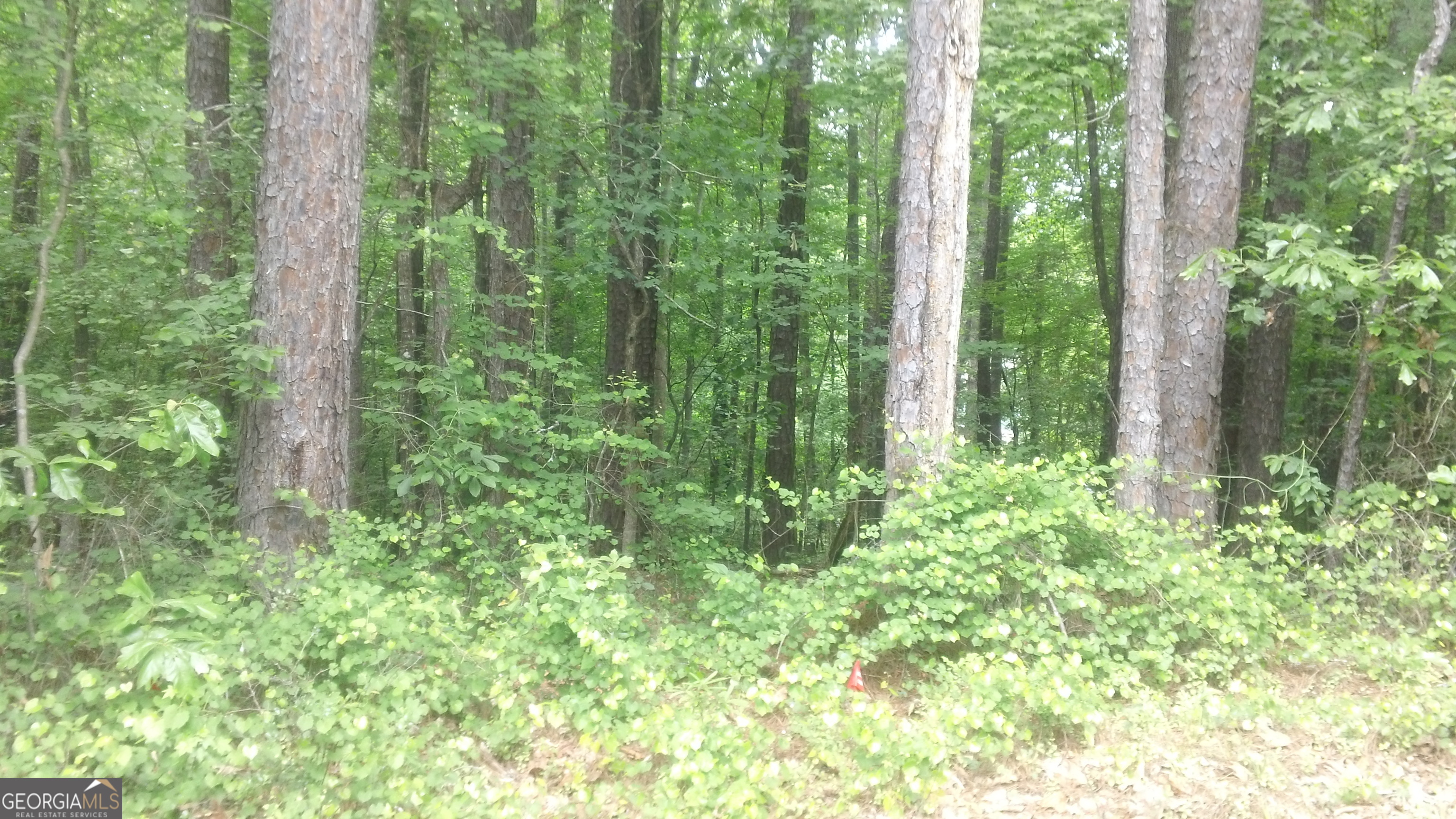 0 Woodduck Court Property Photo 5