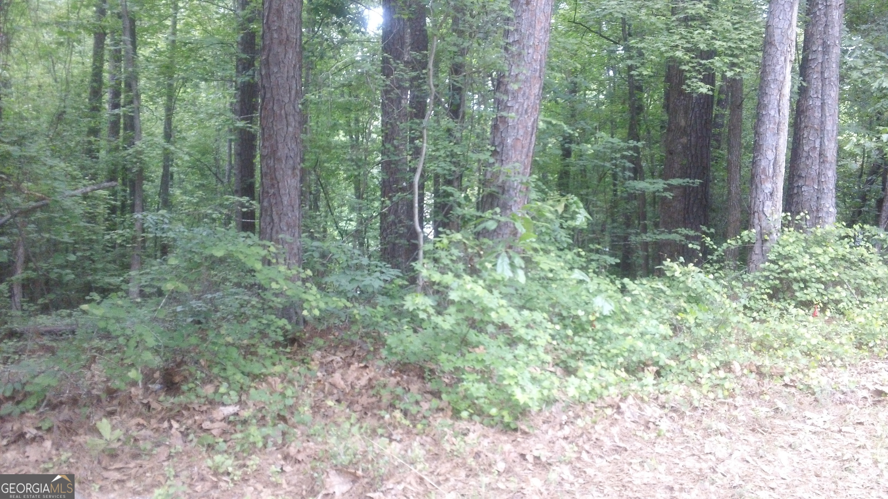 0 Woodduck Court Property Photo 7
