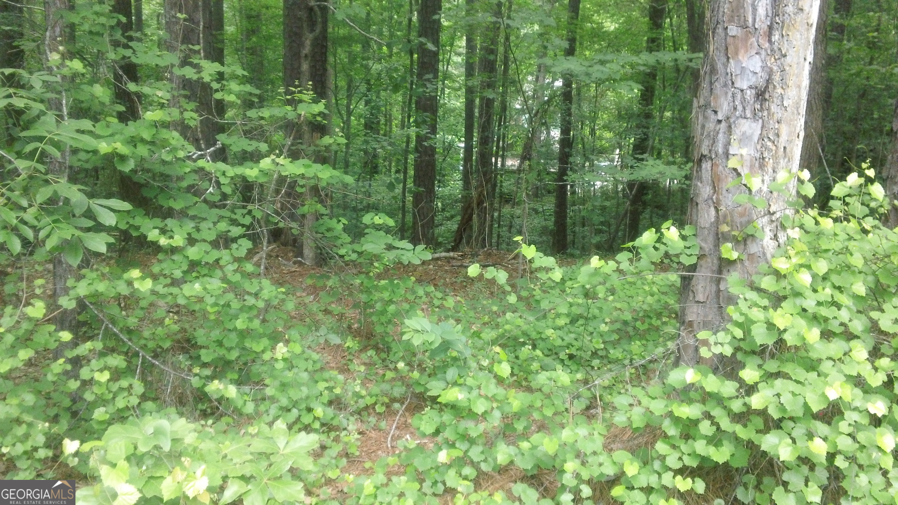 0 Woodduck Court Property Photo 8