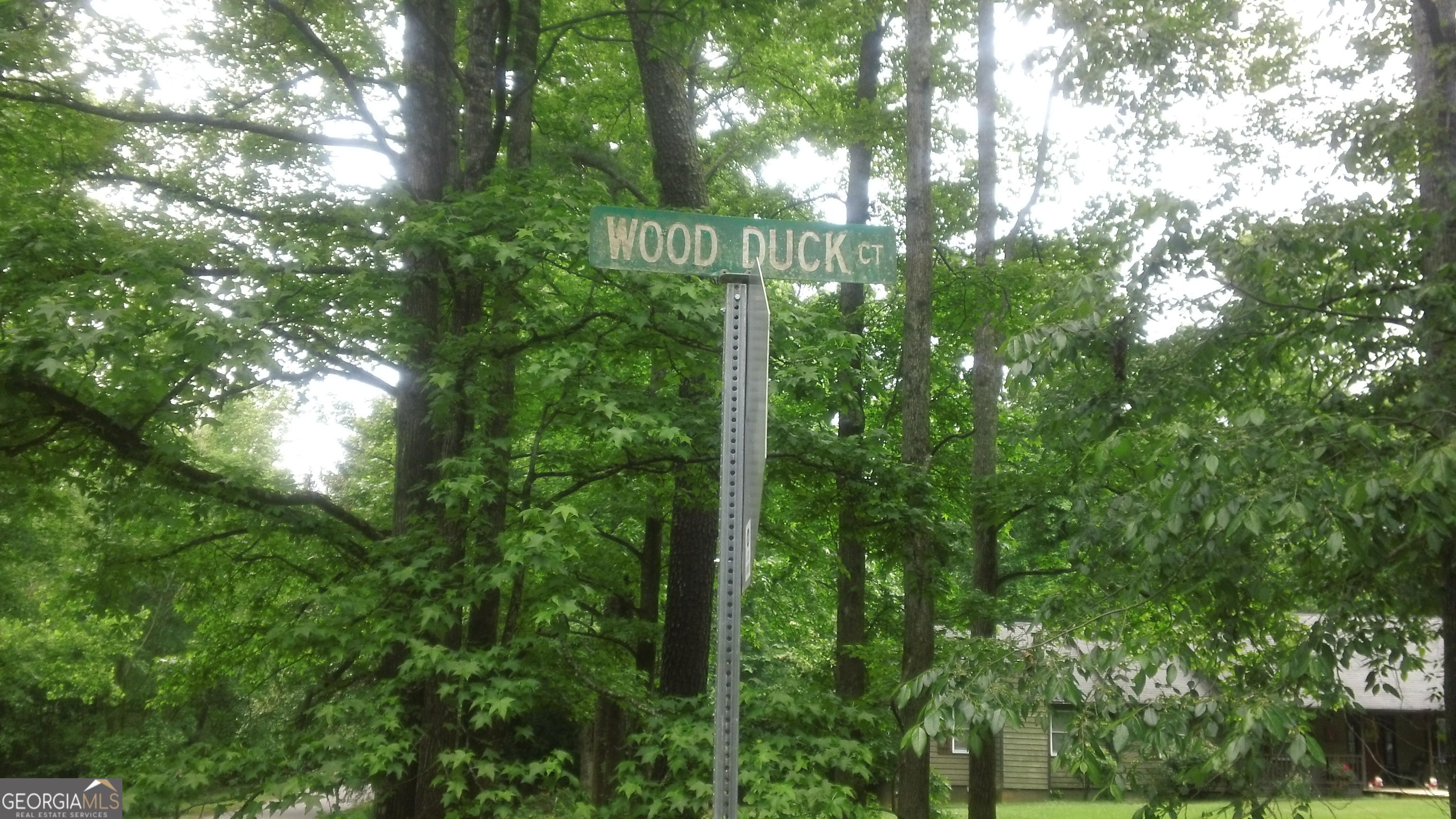 0 Woodduck Court Property Photo 10