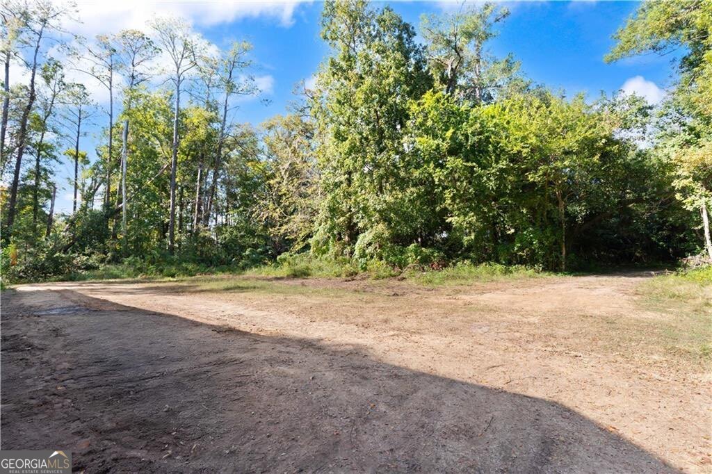 108 Rosa Dorsey Lane Property Photo 1