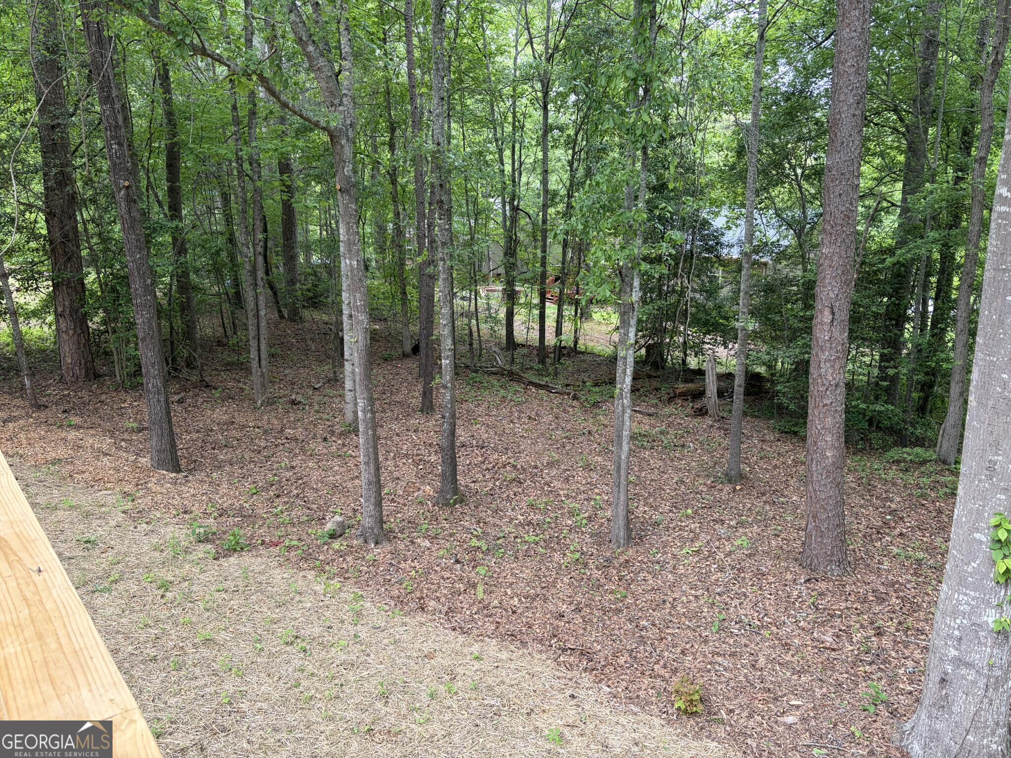 115 Richard Street Property Photo 35