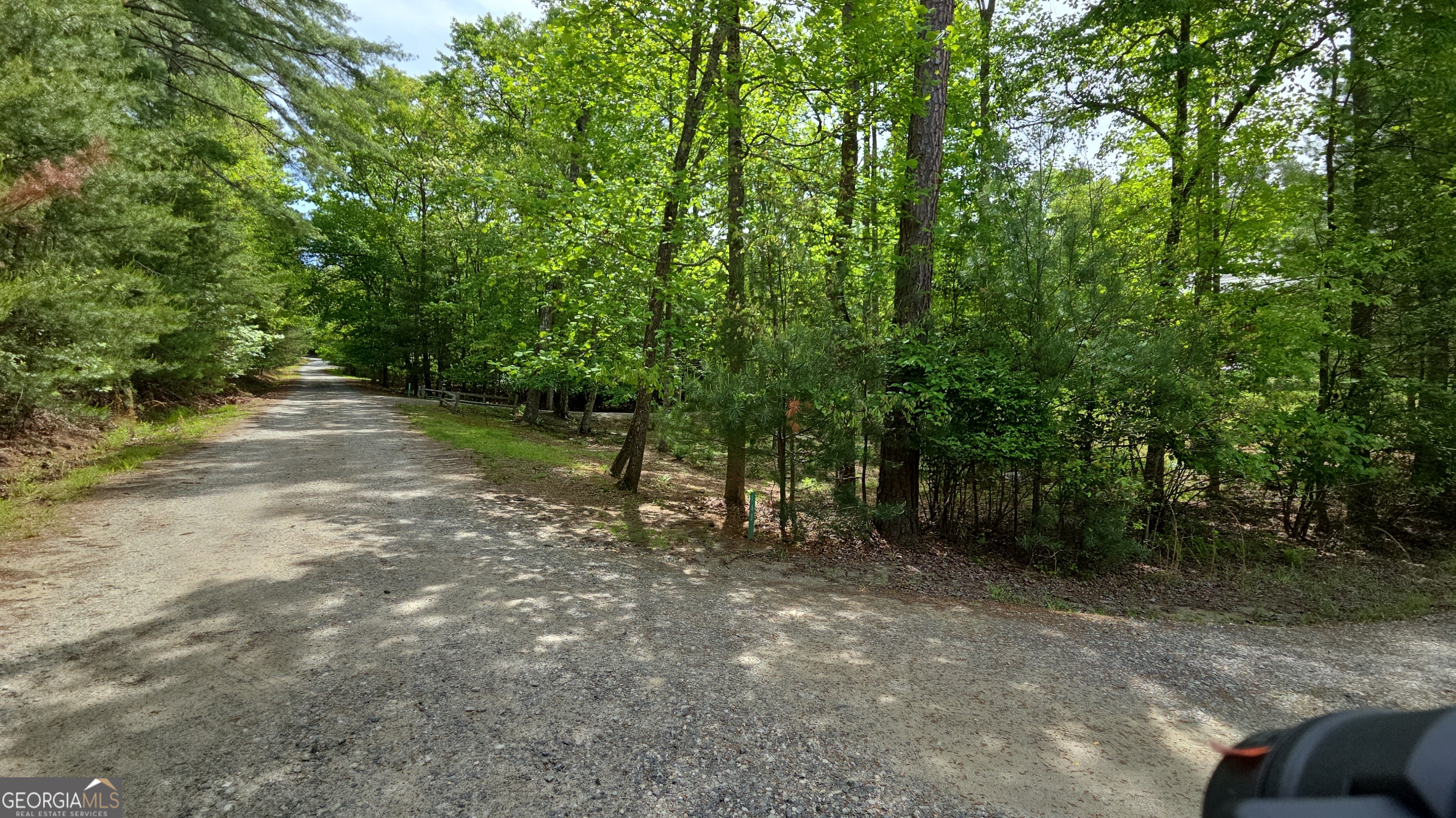 143 Morning Star Property Photo 21