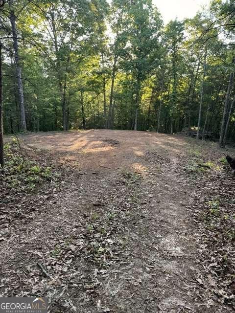 9180 Oliver Mill Road Property Photo 6