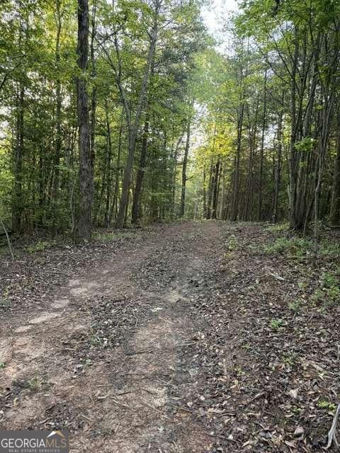 9180 Oliver Mill Road Property Photo 8