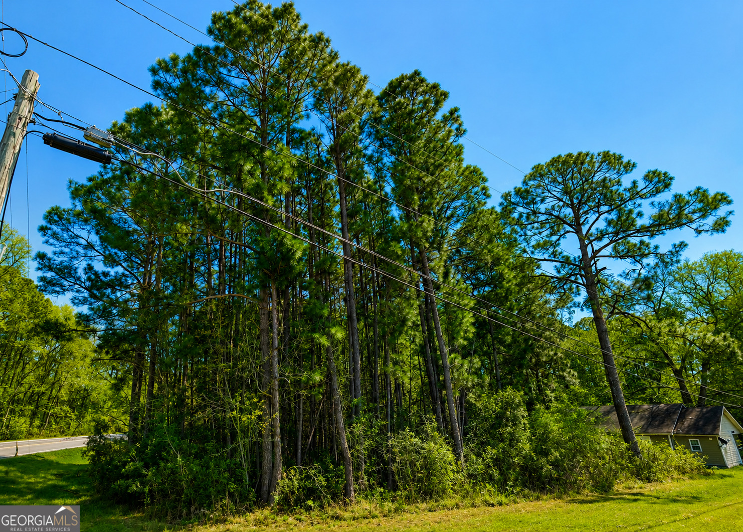 .77 Acre Leary North Road Property Photo 6