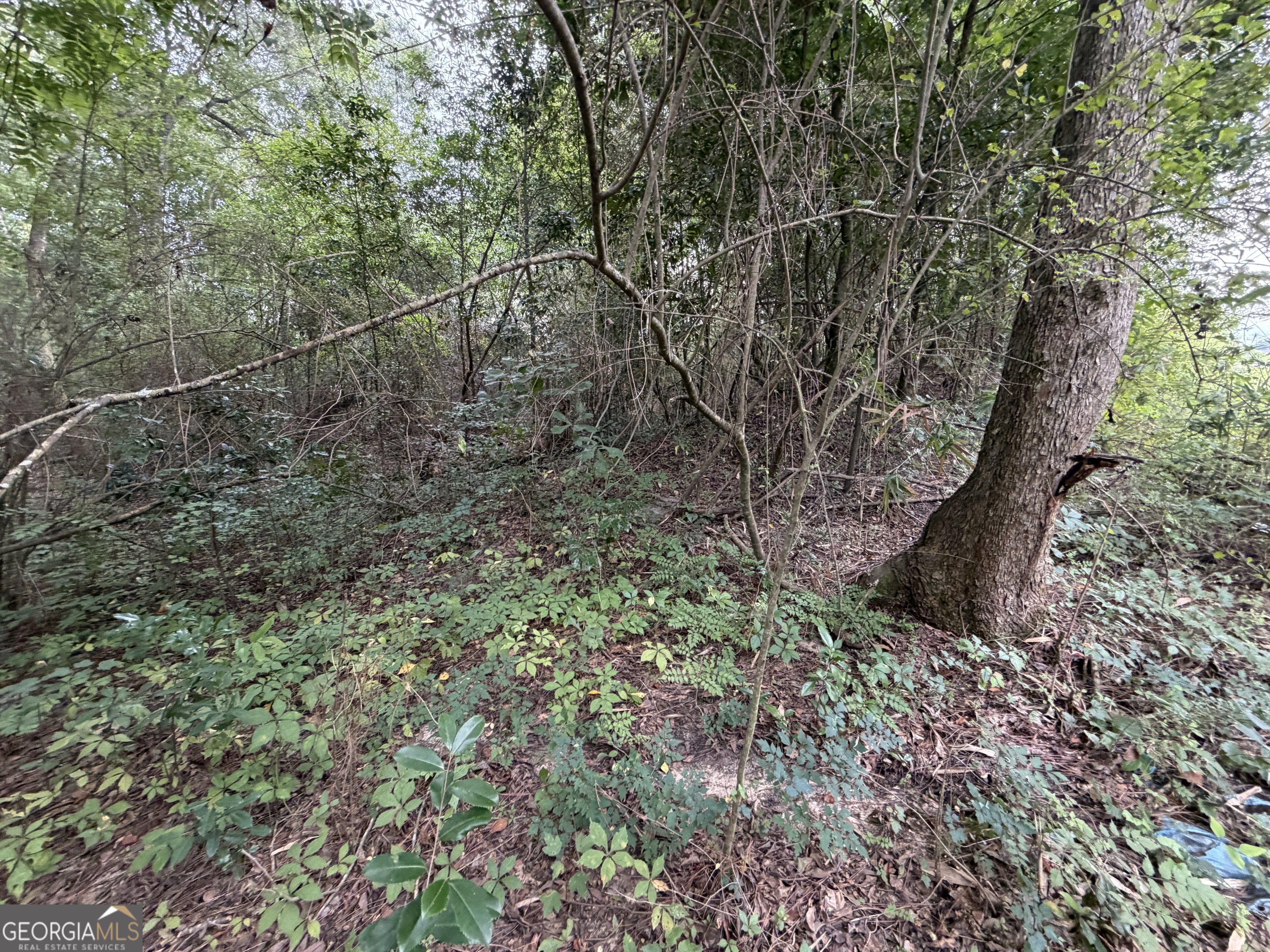 .77 Acre Leary North Road Property Photo 8