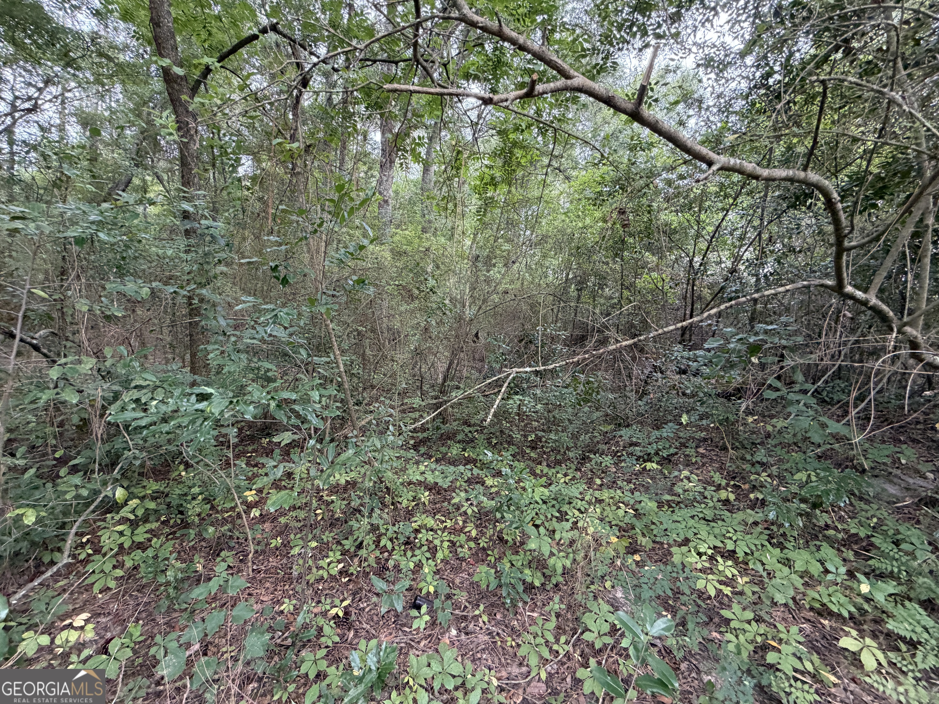 .77 Acre Leary North Road Property Photo 11