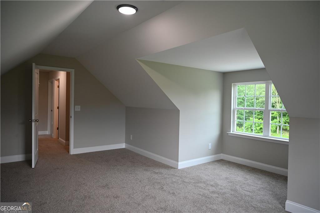 2970 Cannon Bridge Road Property Photo 21