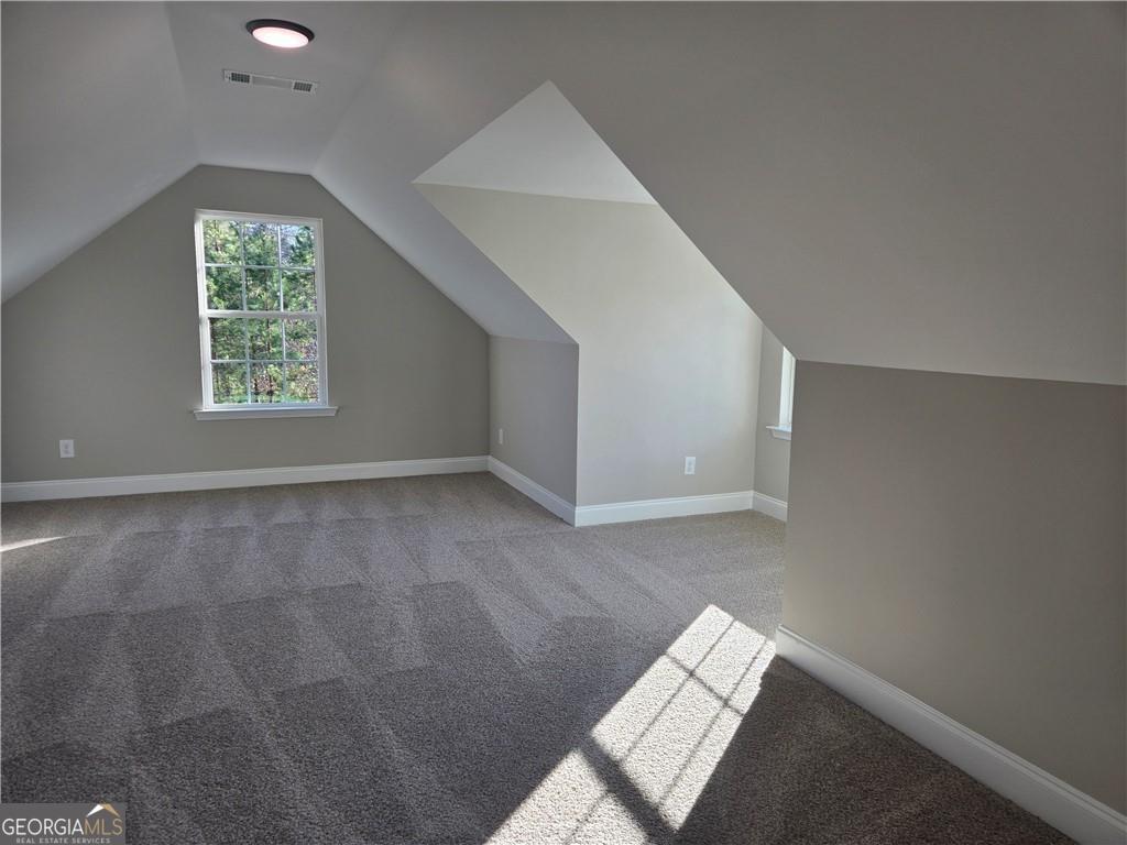 2970 Cannon Bridge Road Property Photo 22