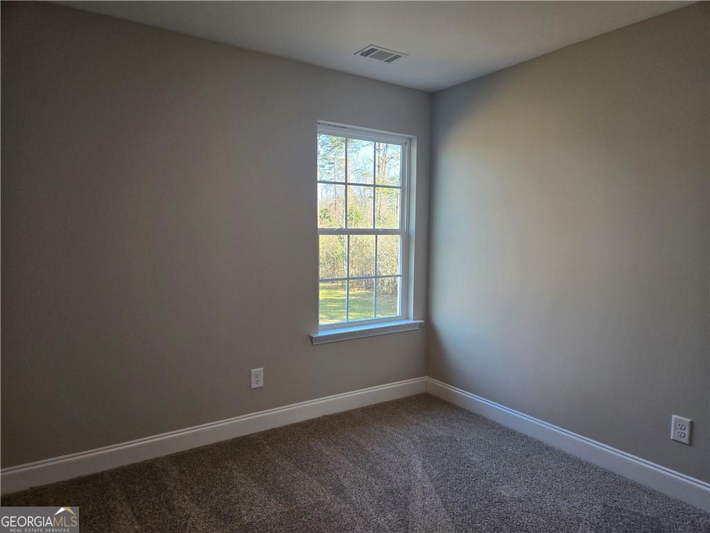 2970 Cannon Bridge Road Property Photo 33