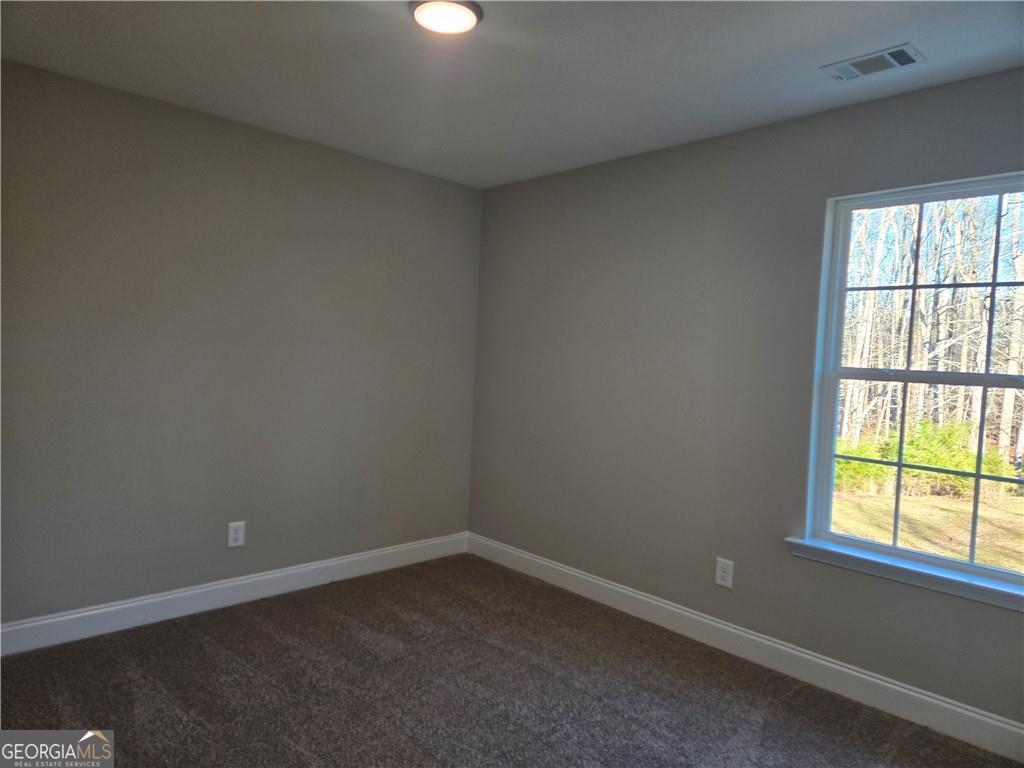 2970 Cannon Bridge Road Property Photo 34
