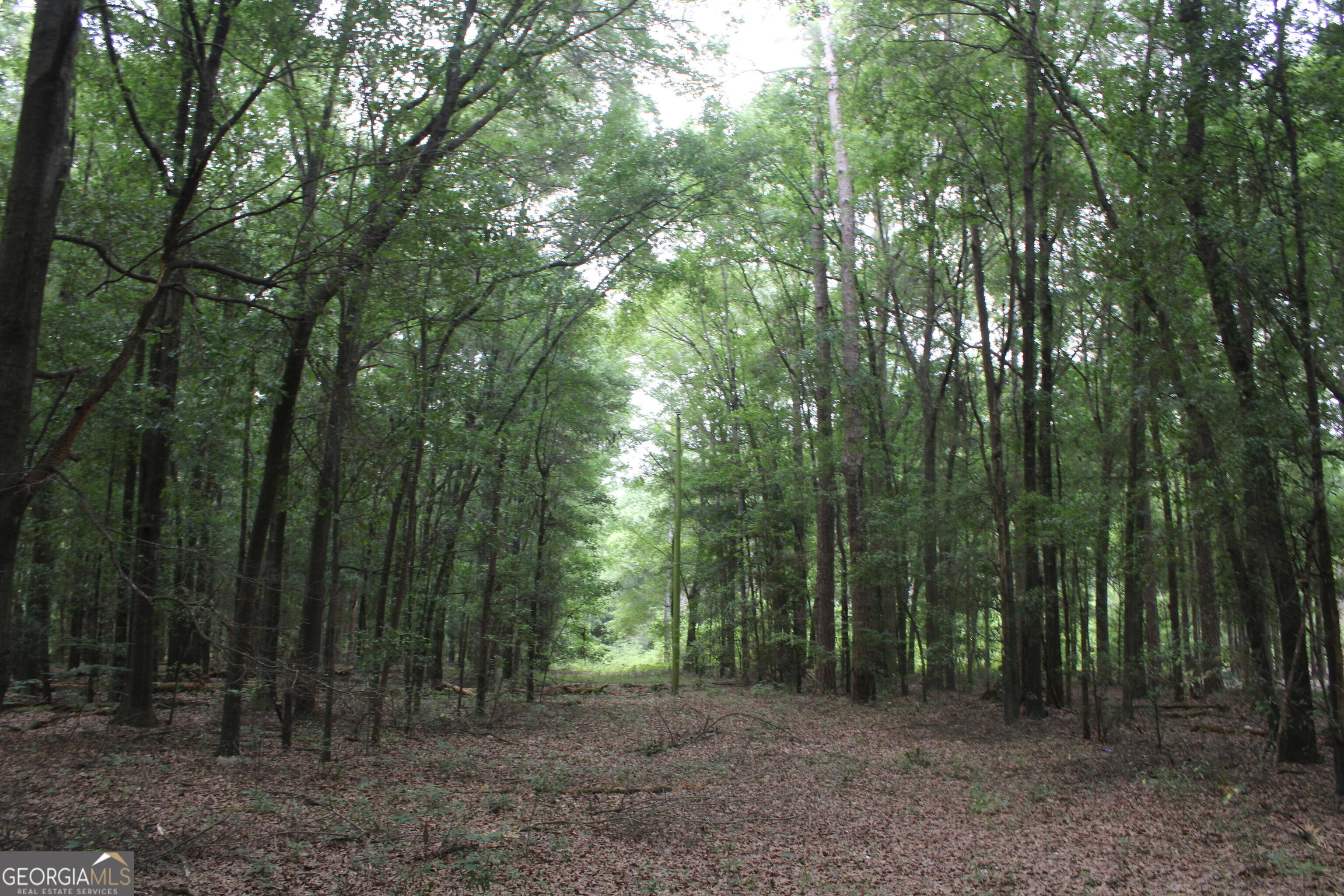 0 S State Route 49 Road Property Photo 1