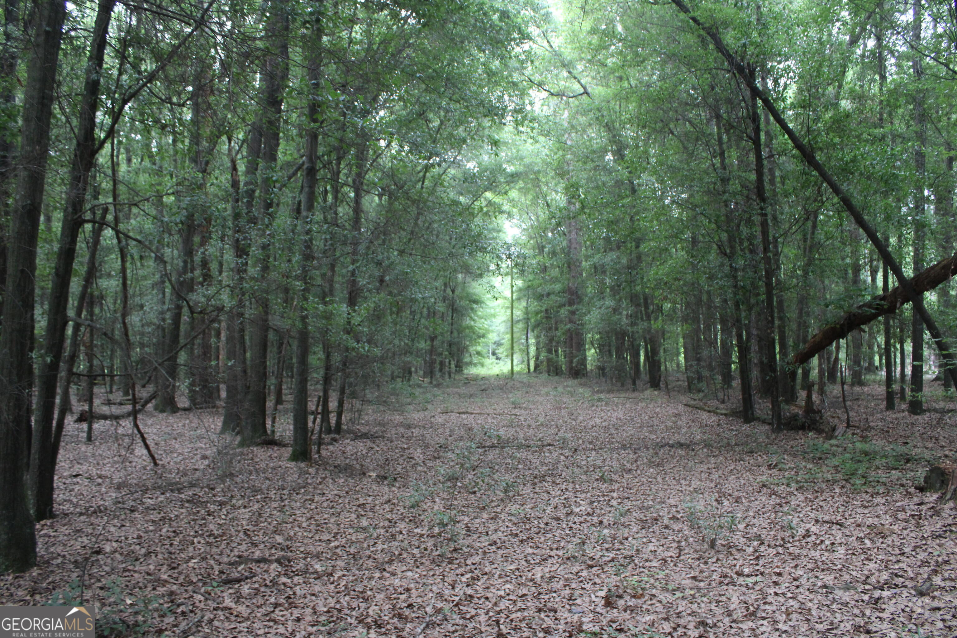 0 S State Route 49 Road Property Photo 2