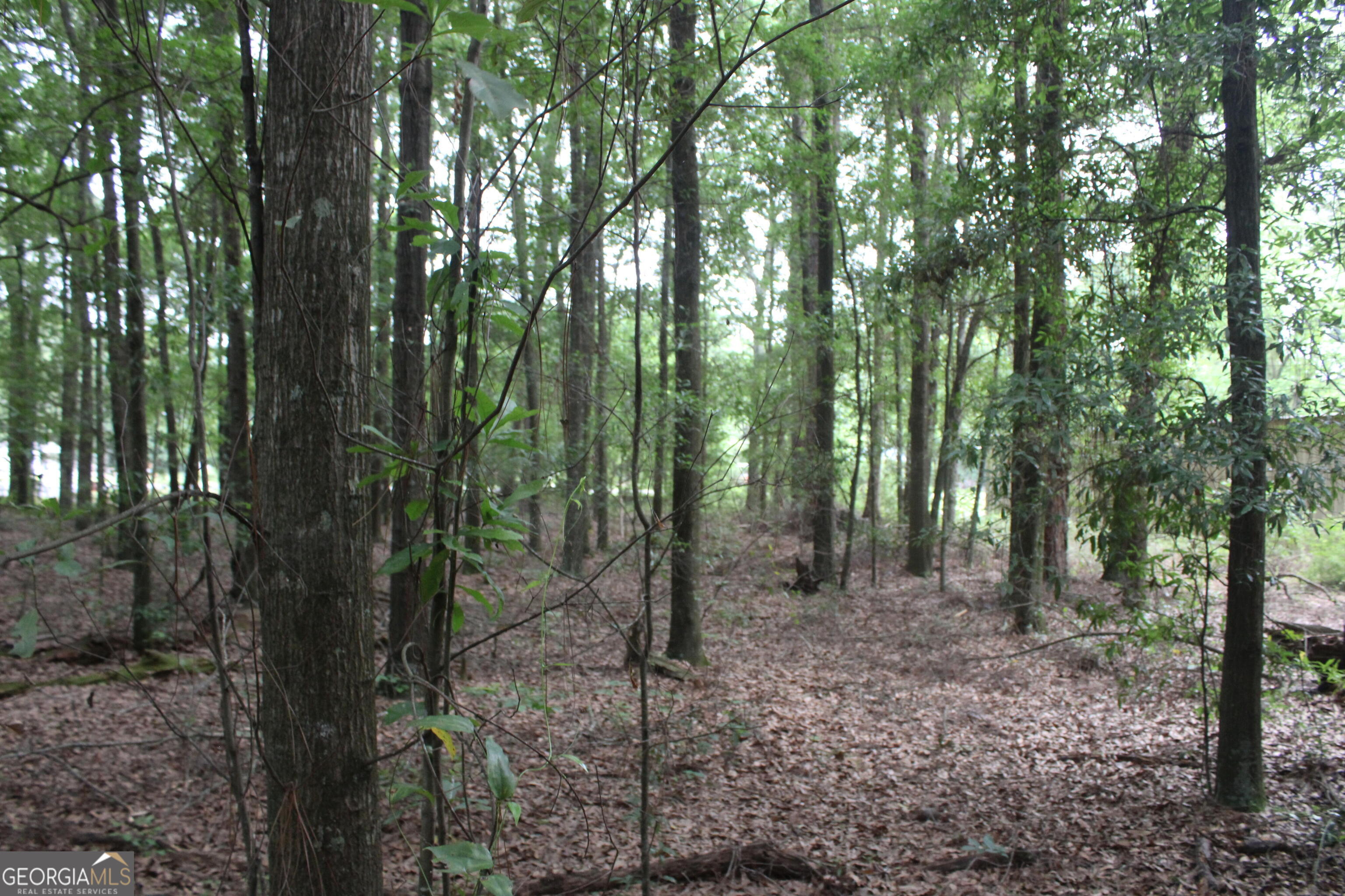 0 S State Route 49 Road Property Photo 3