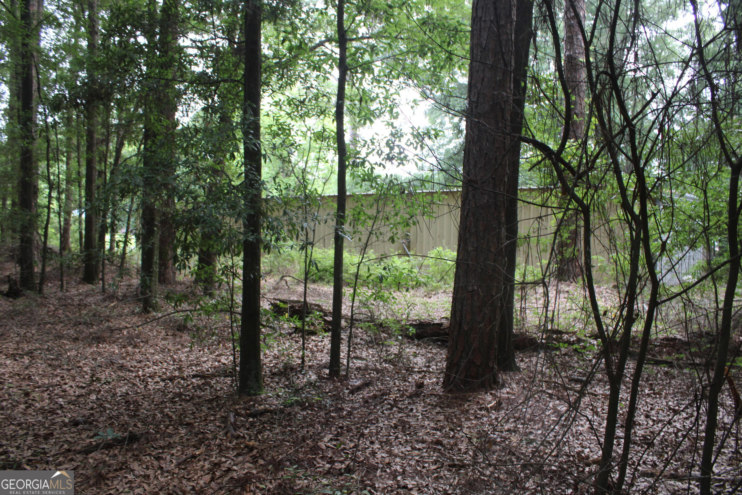 0 S State Route 49 Road Property Photo 4