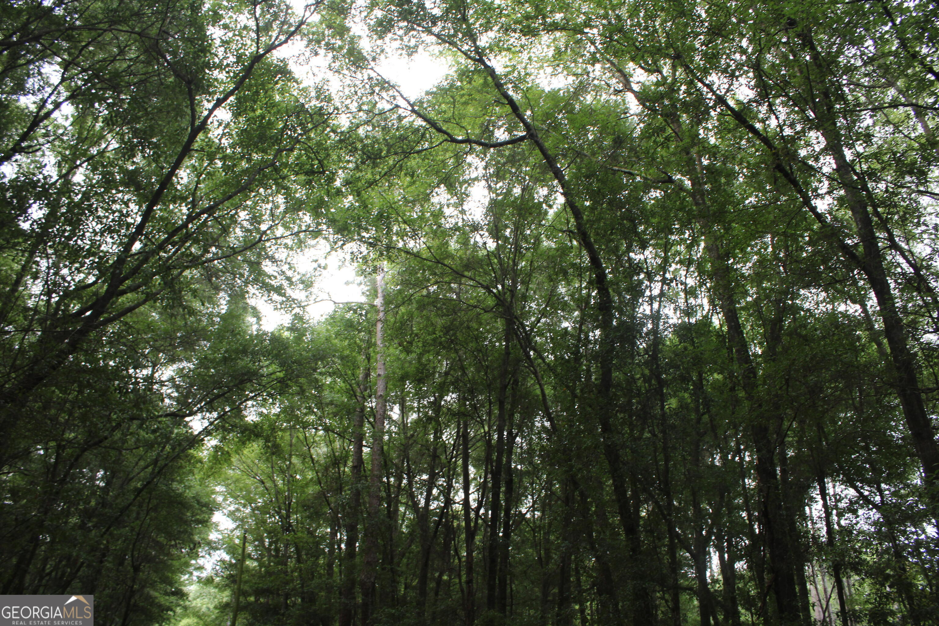 0 S State Route 49 Road Property Photo 5