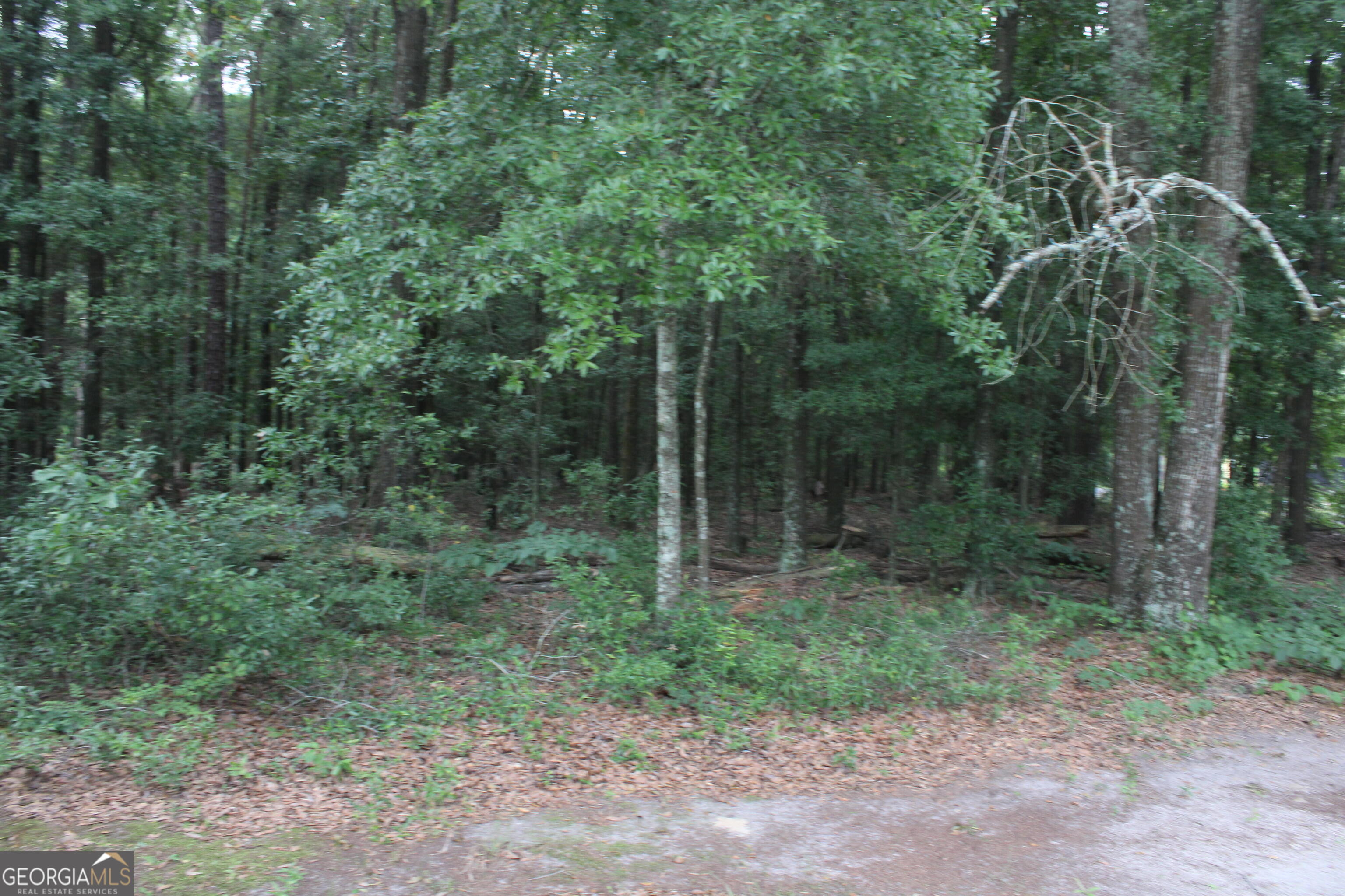 0 S State Route 49 Road Property Photo 7