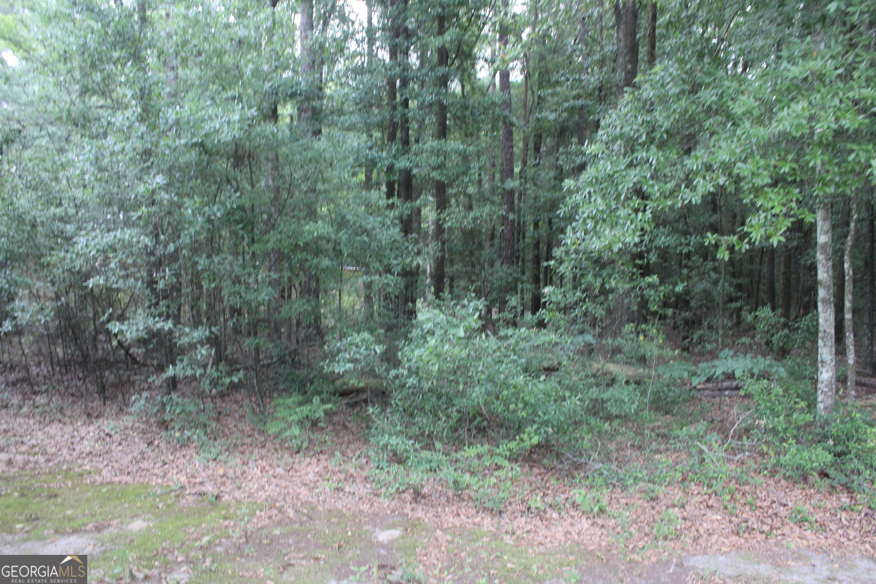 0 S State Route 49 Road Property Photo 8