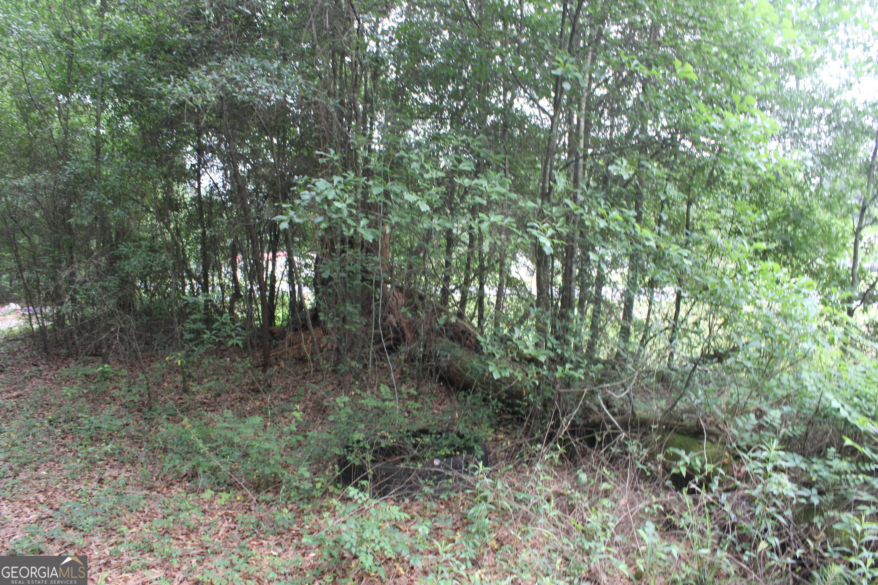 0 S State Route 49 Road Property Photo 9