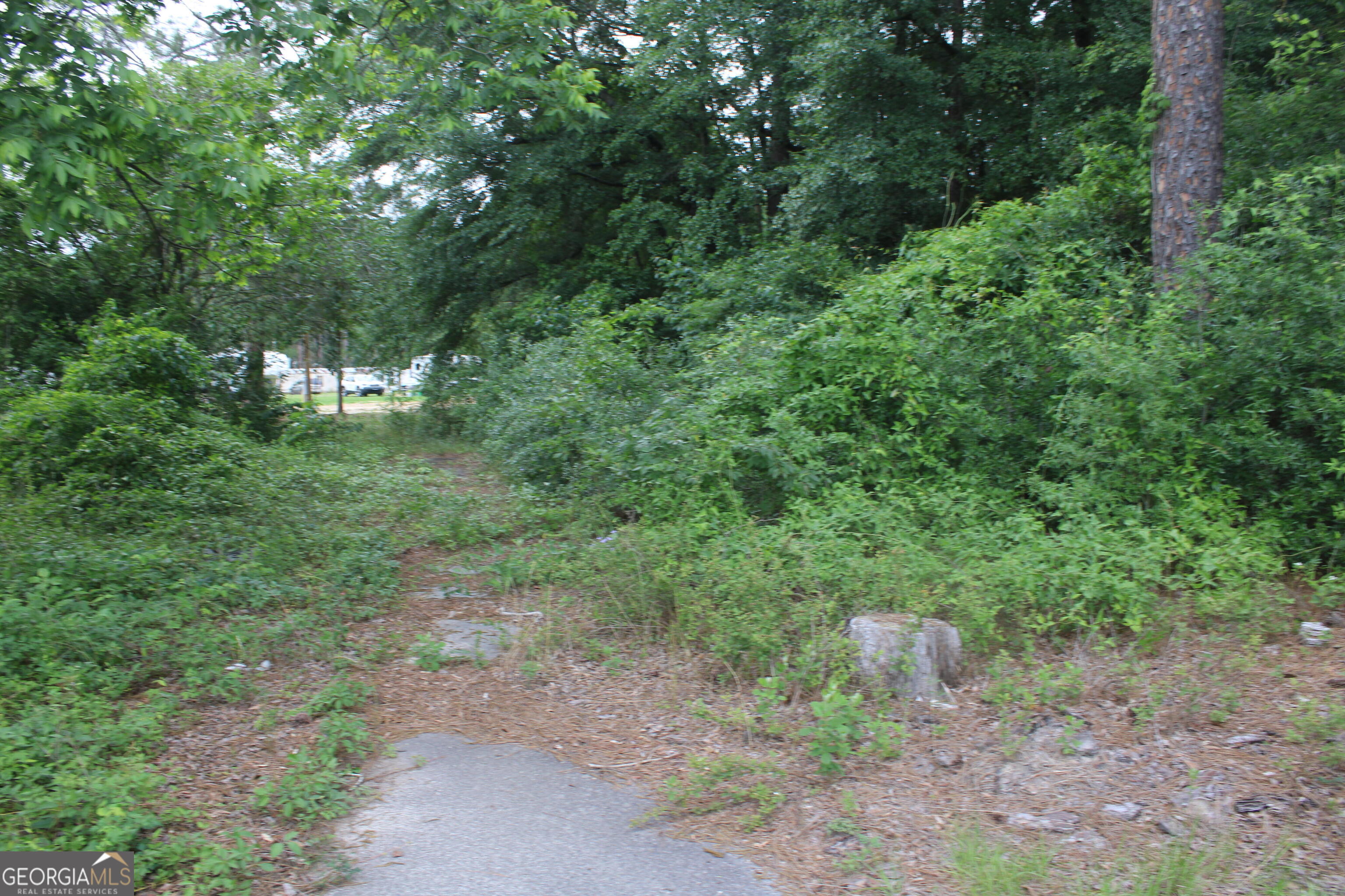 0 S State Route 49 Road Property Photo 13