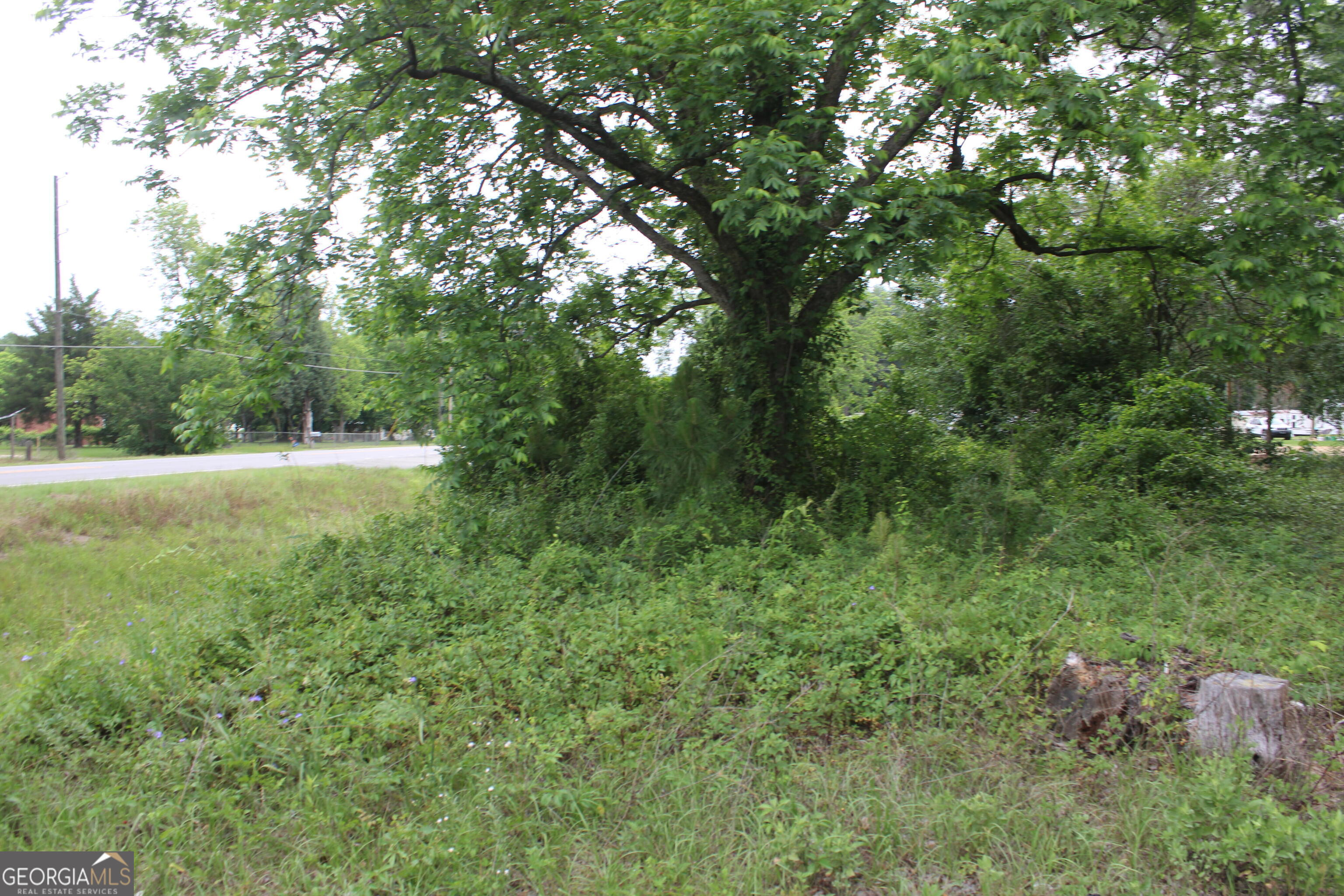 0 S State Route 49 Road Property Photo 15