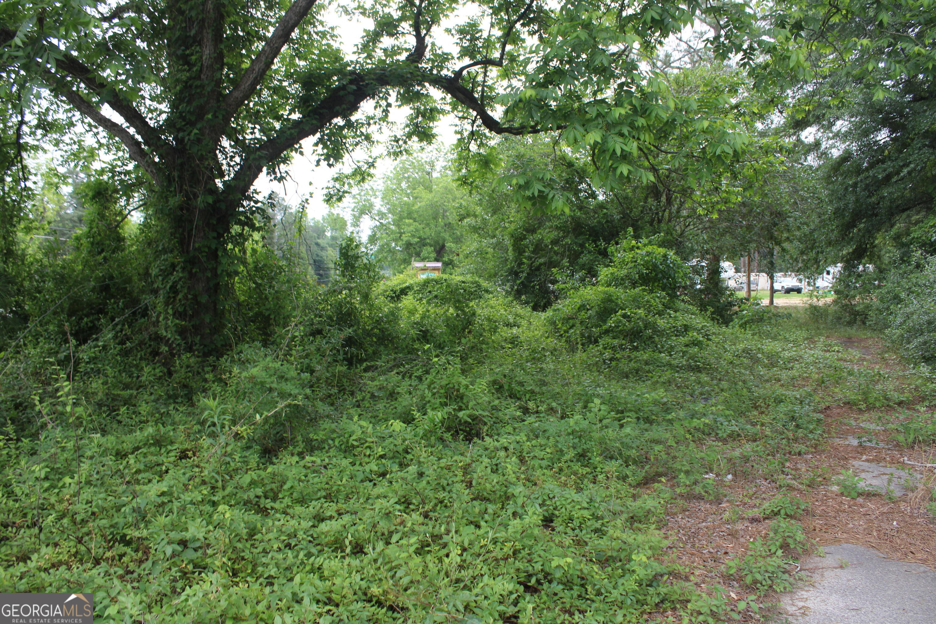 0 S State Route 49 Road Property Photo 16