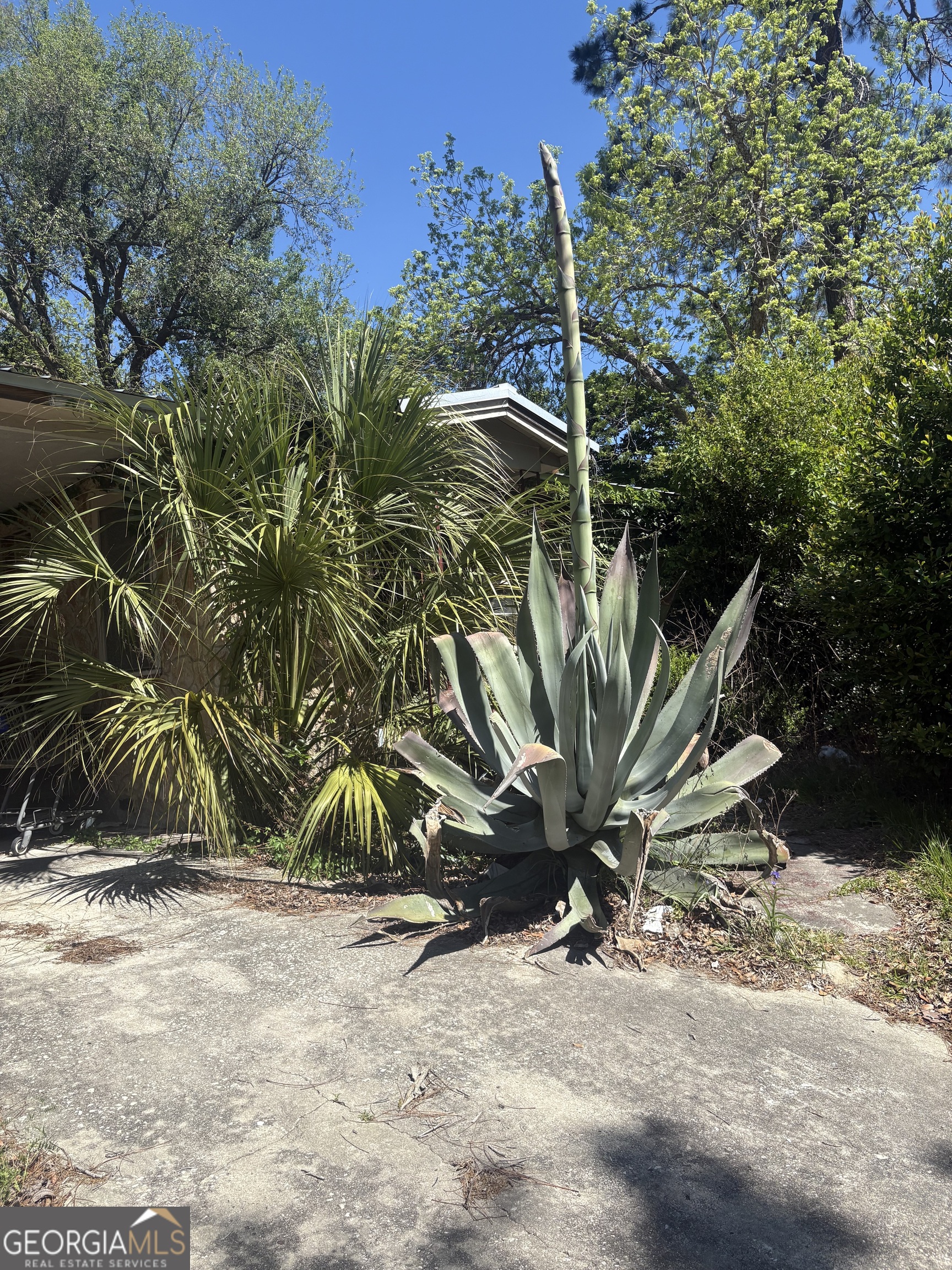 524 Martin Luther King Drive Property Photo 3