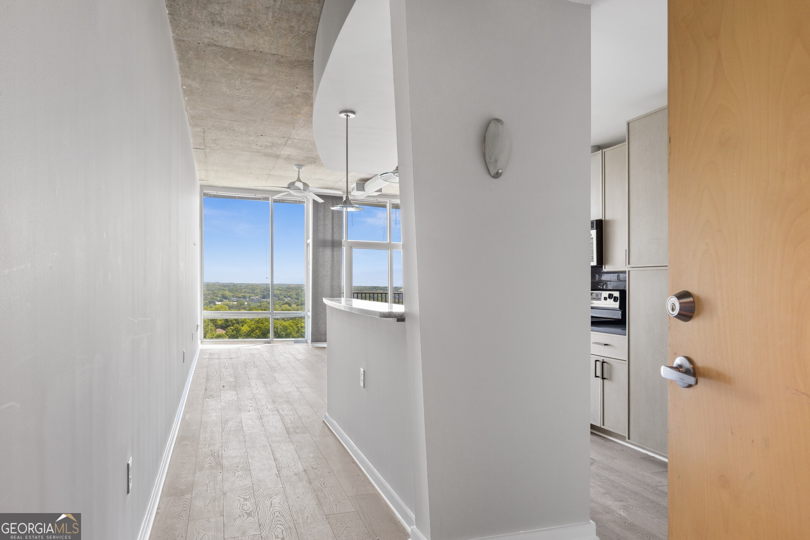 923 Peachtree Street Ne # 1636 Property Photo 5