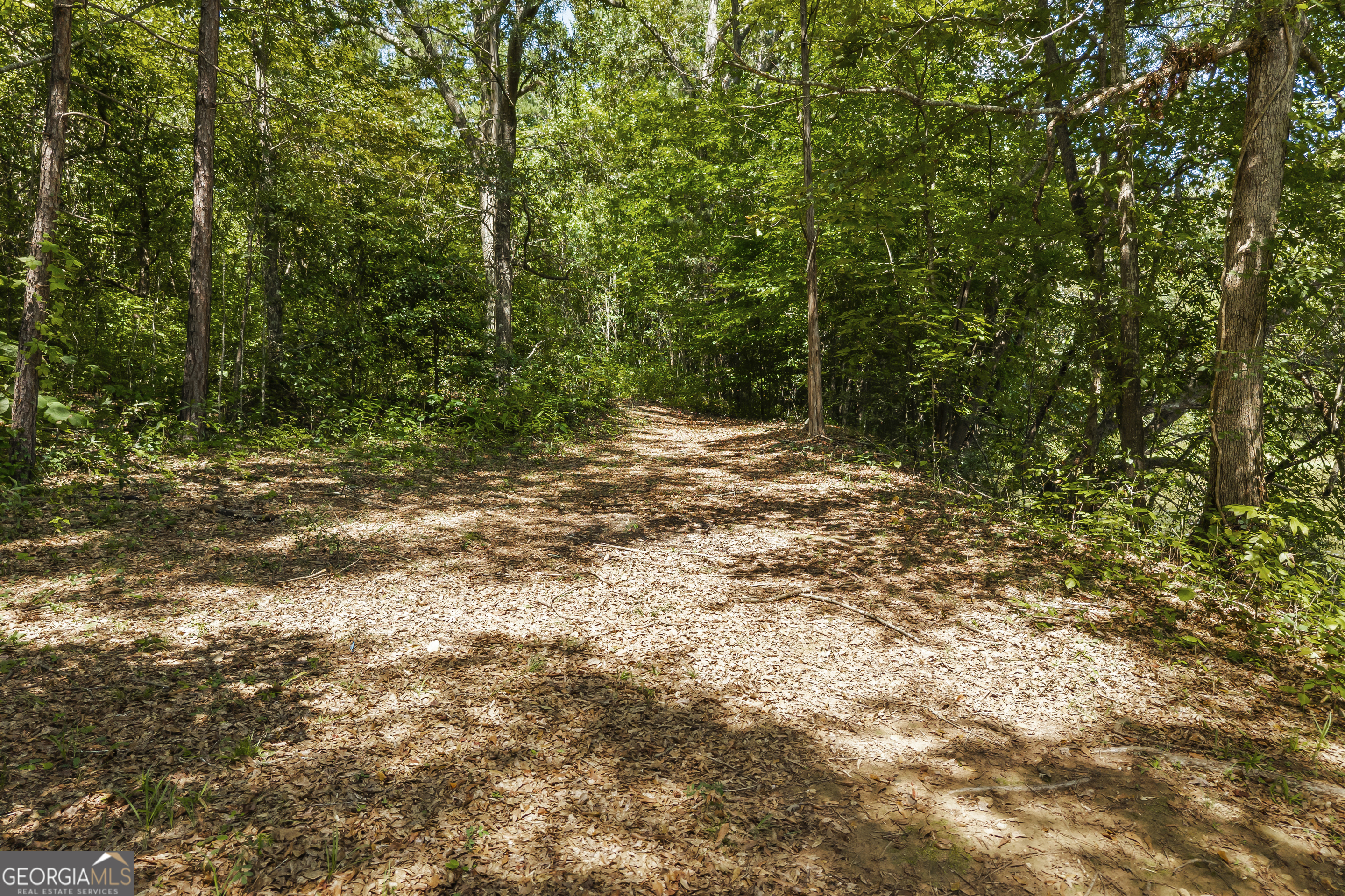 474 Lewis Drive Property Photo 6