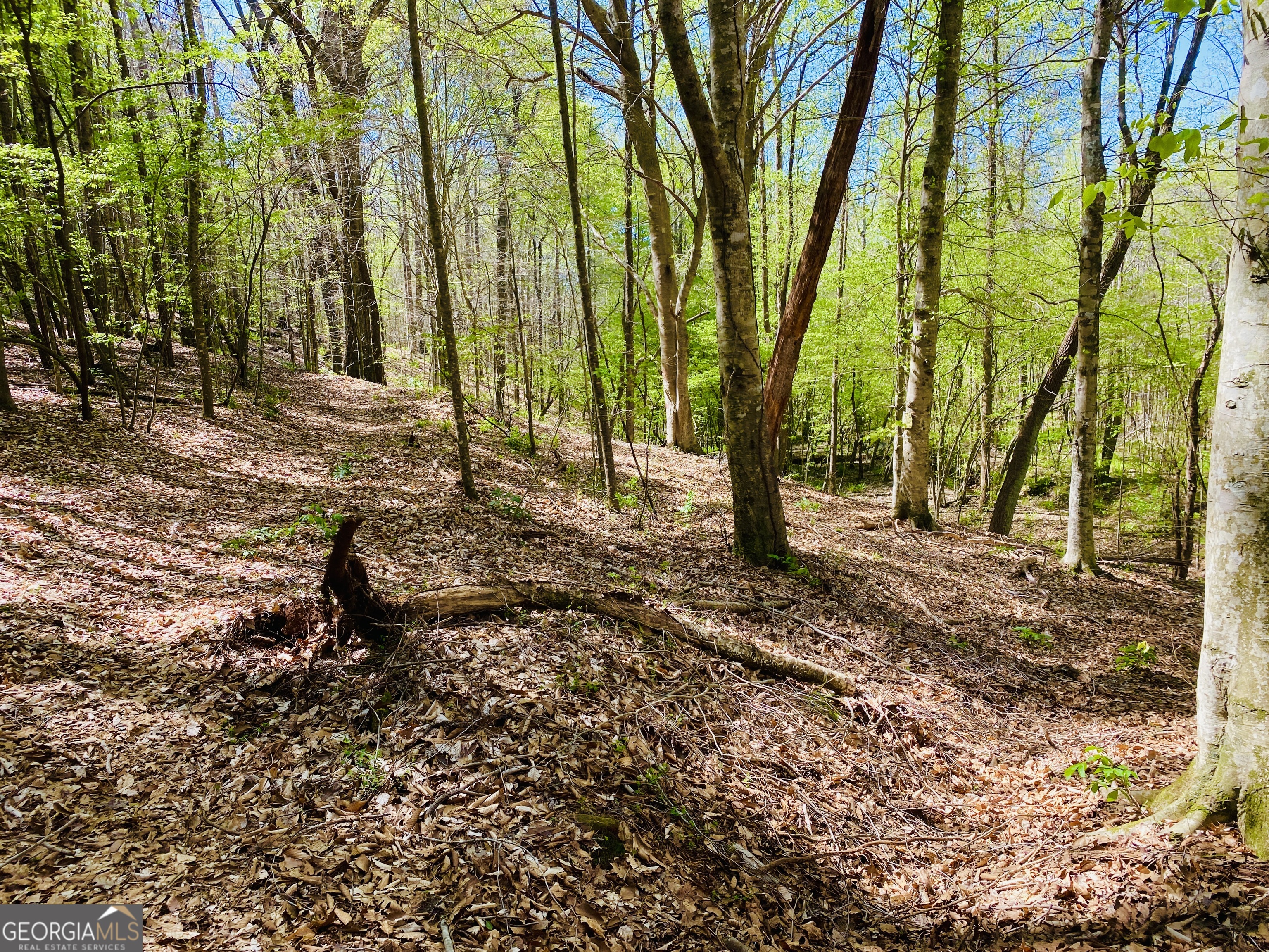 3 Curry Falls Trail