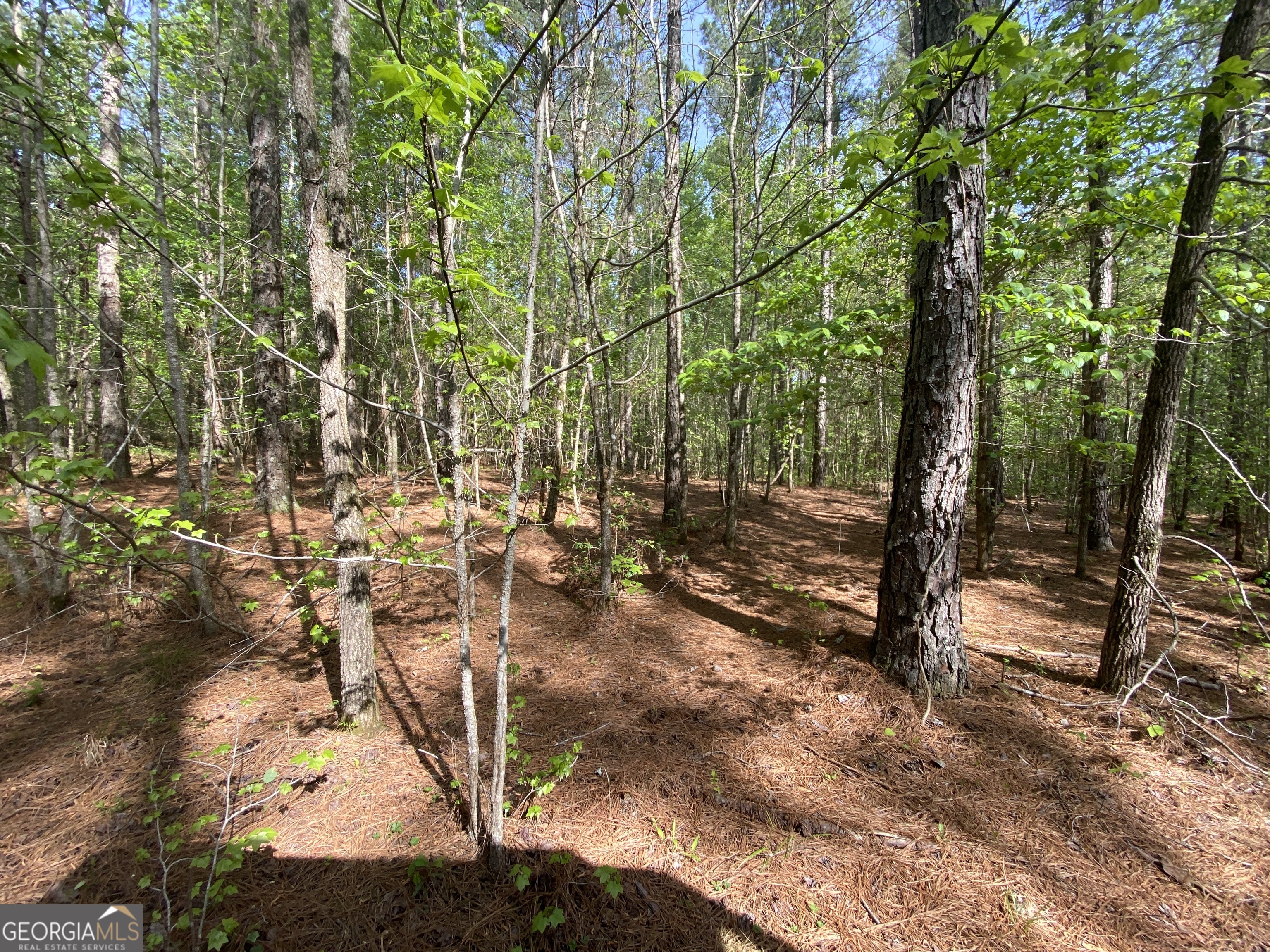 3 Curry Falls Trail Property Photo 2