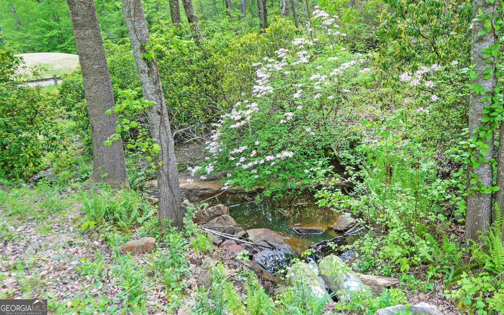 4835 Upper Berkshire Road Property Photo 11