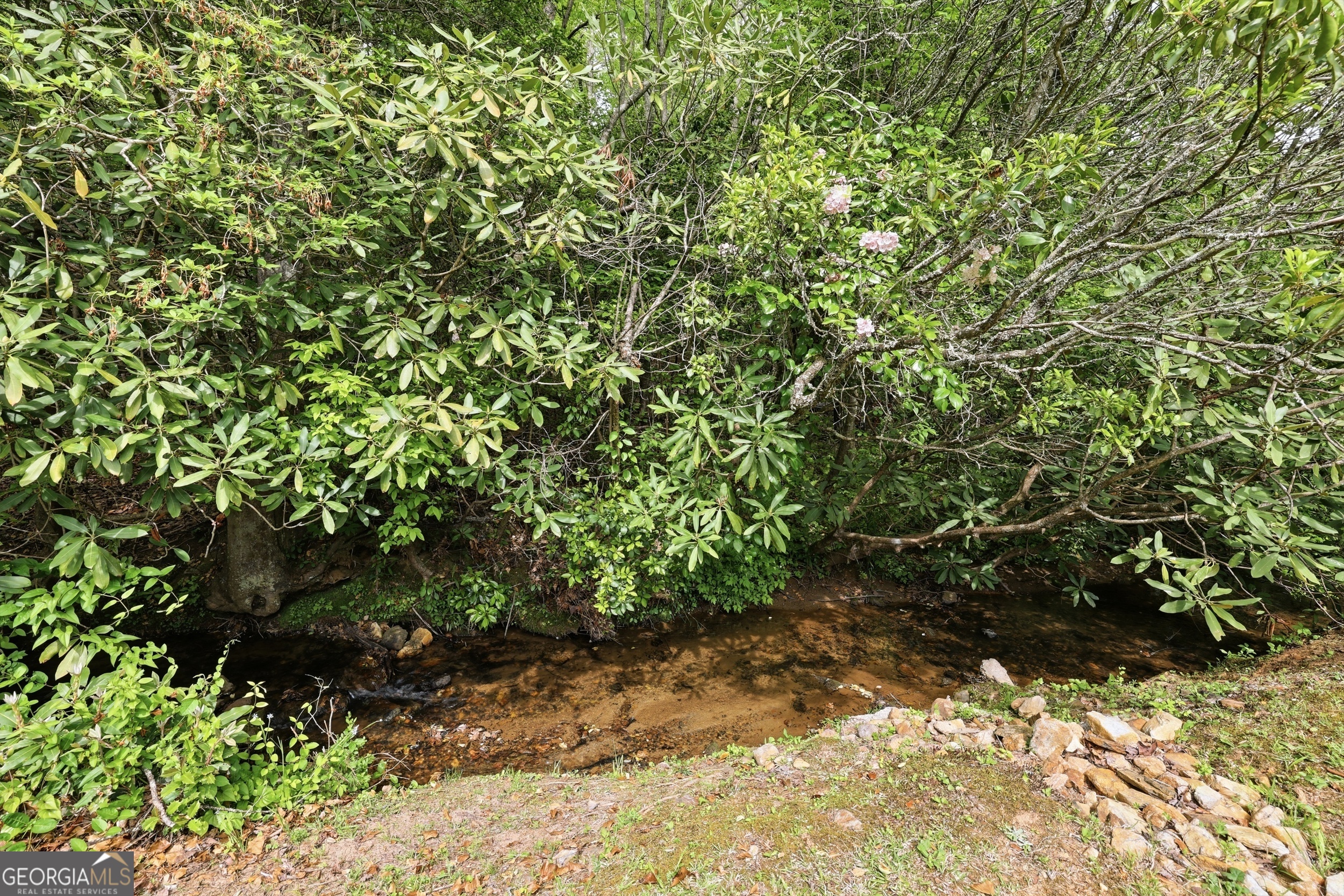 4960 Laurel Lodge Lot 2 Road Property Photo 26