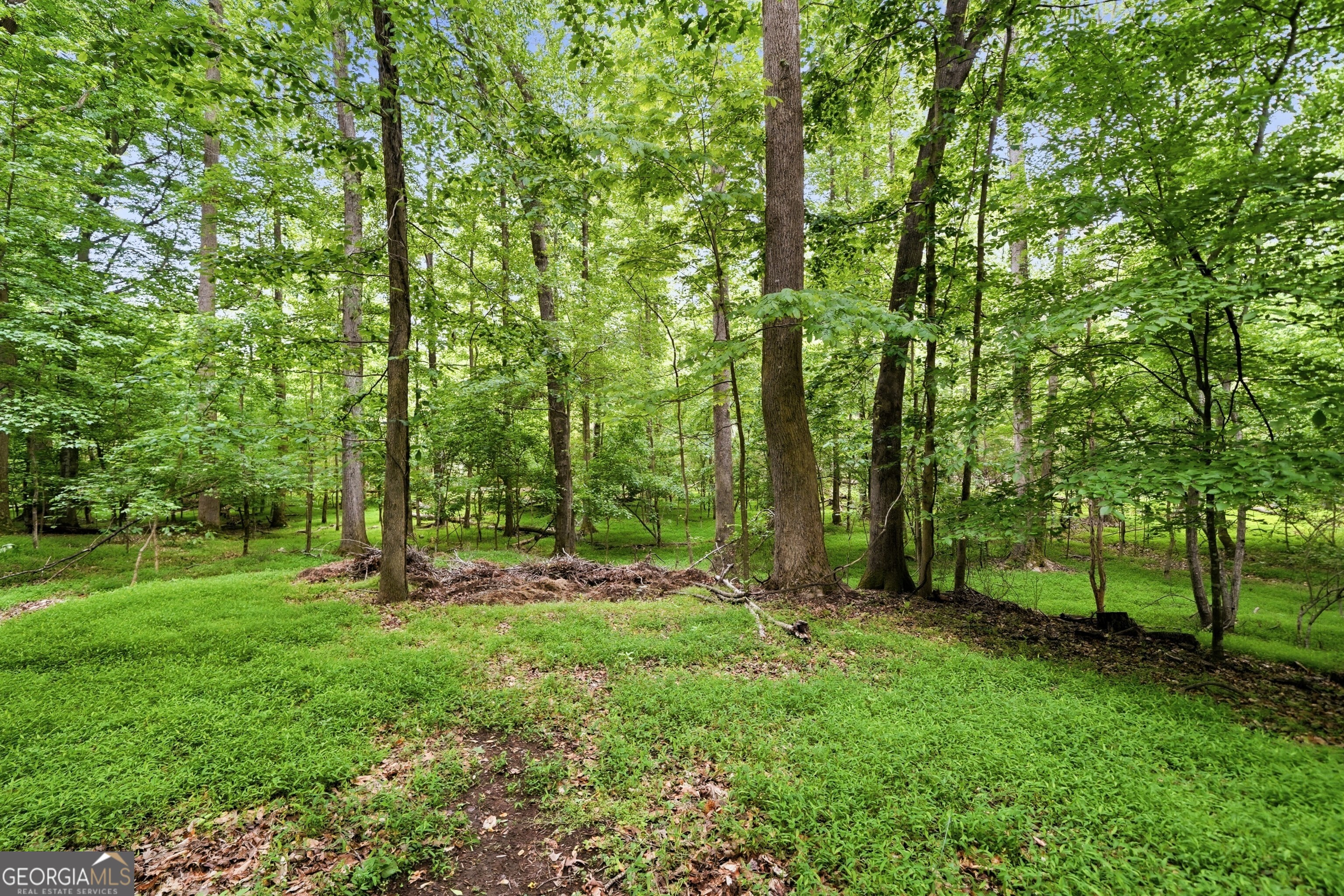 14772 Taylor Valley Way Property Photo 90