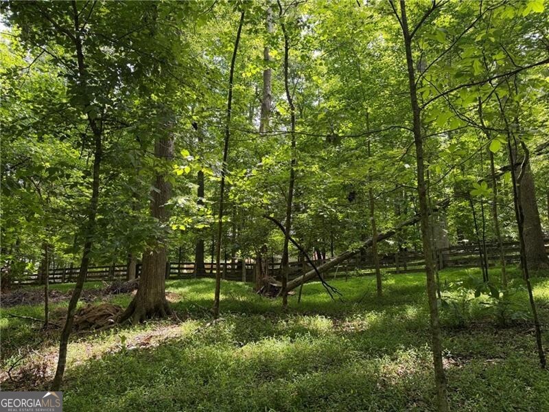 14772 Taylor Valley Way Property Photo 107