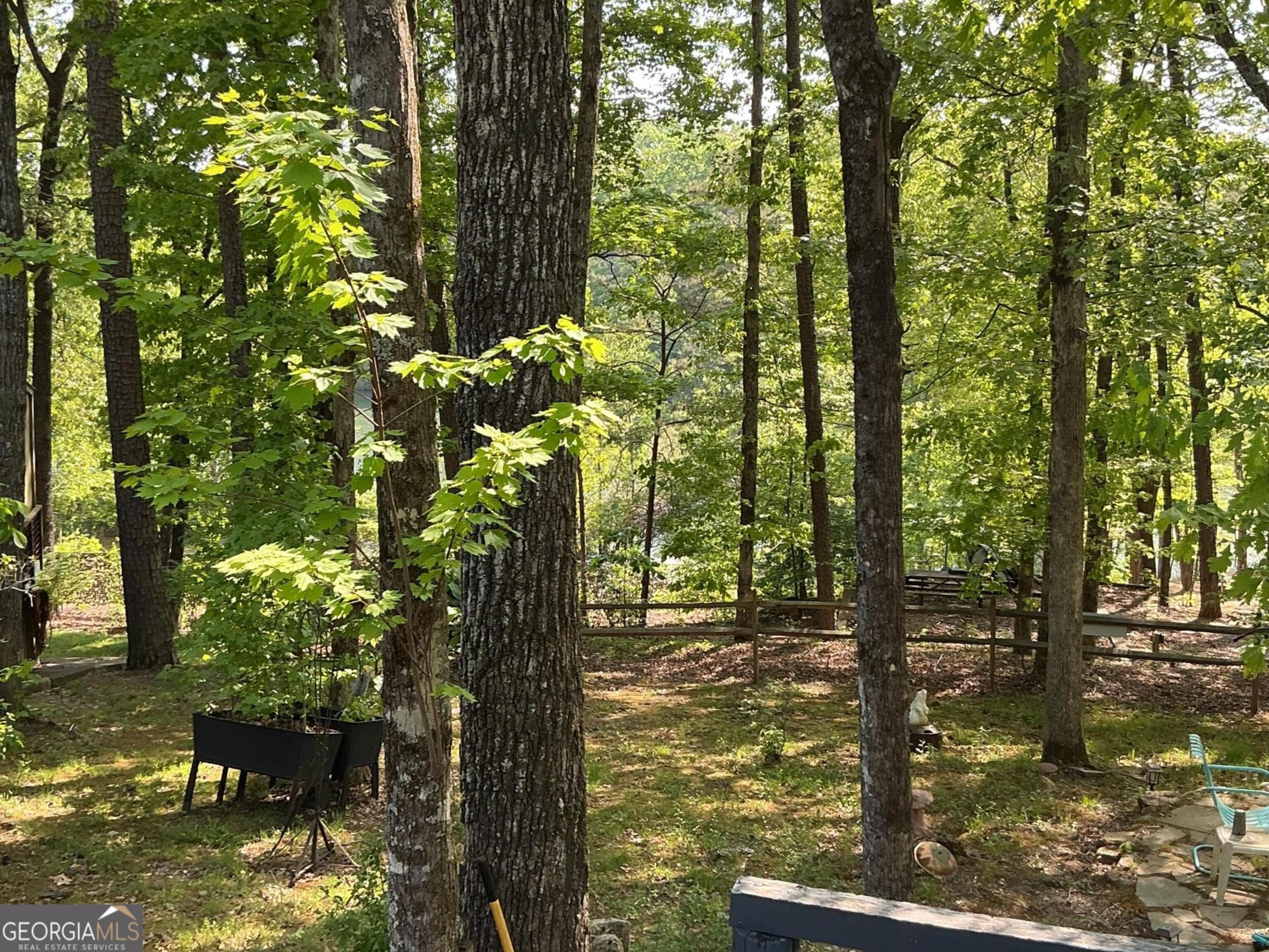 1157 Mountain Shadows Drive Property Photo 8