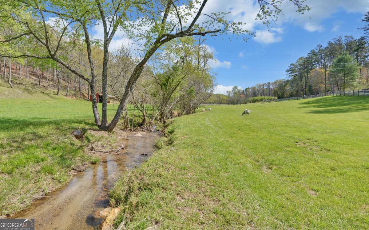202 Dove Lane Property Photo 77