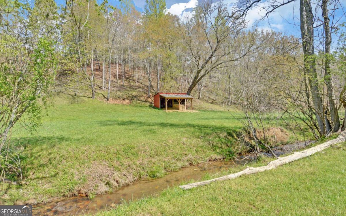 202 Dove Lane Property Photo 82