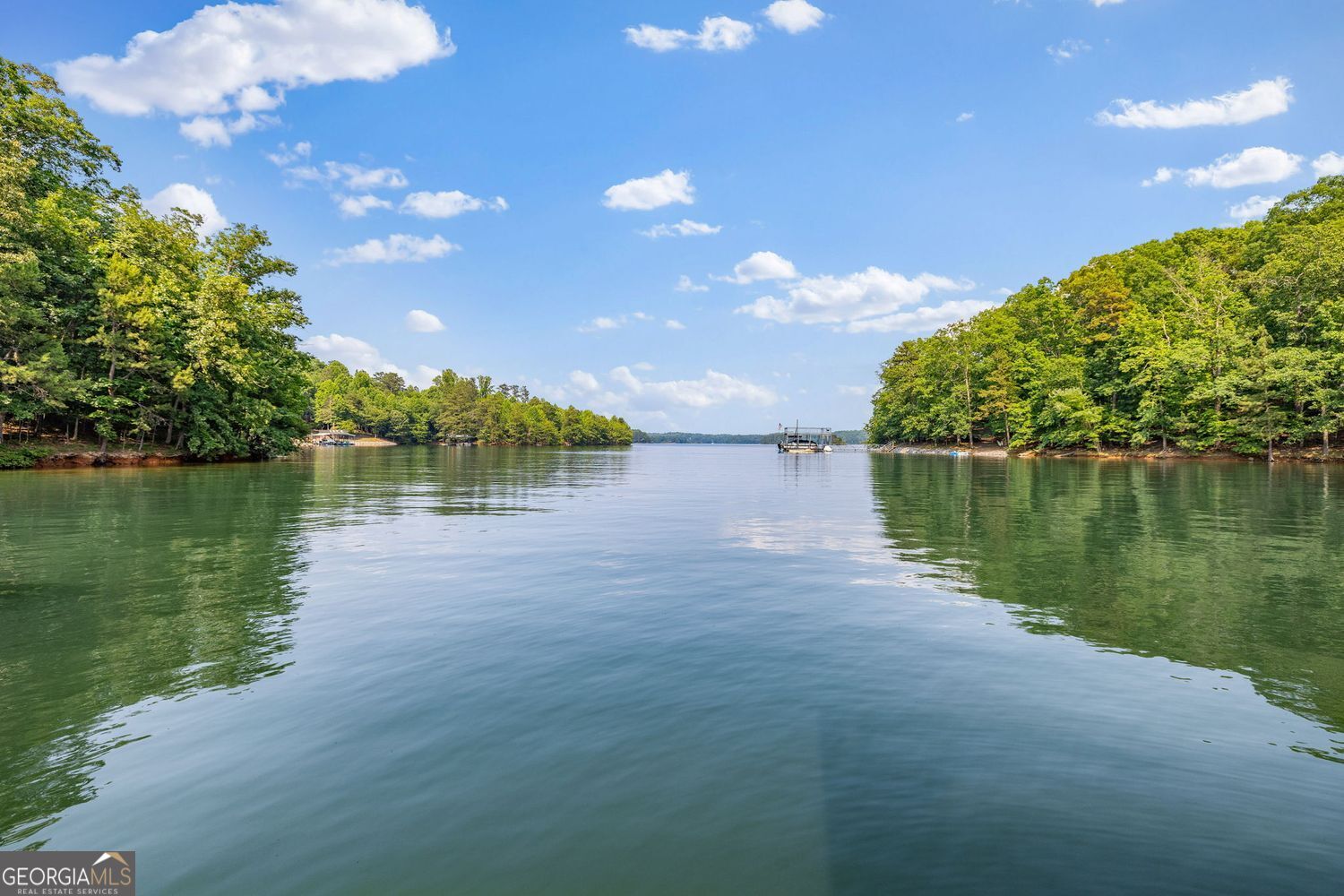 8575 Anchor On Lanier Court Property Photo 80
