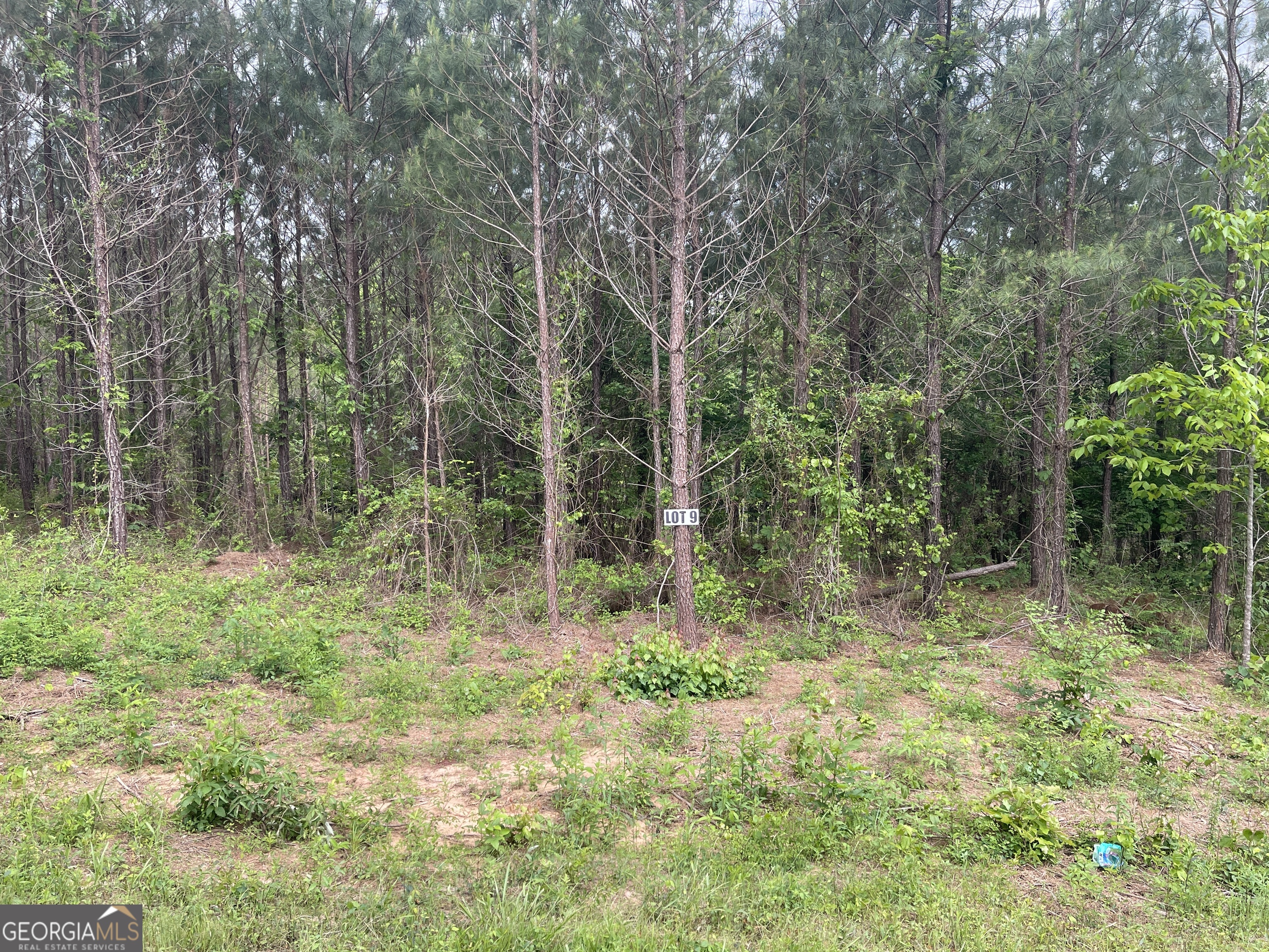 0 Bevis Rd Parcel 9 Property Photo 3