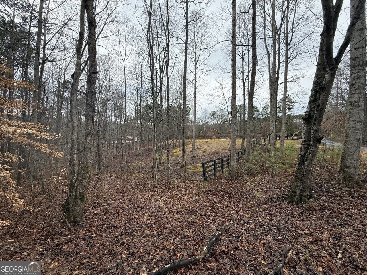 1666 Rock Springs Lane Property Photo 1