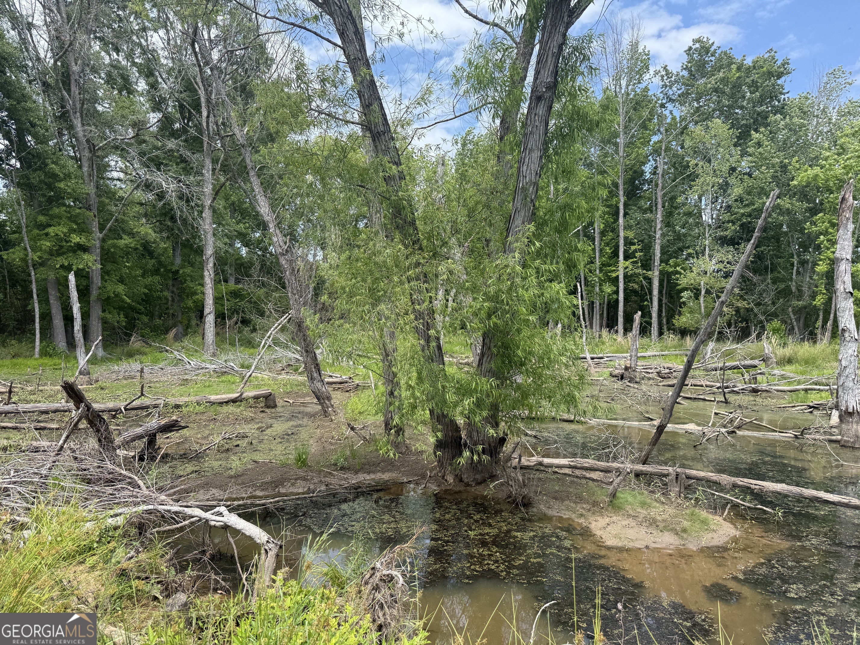 35 Ac Hwy 109 Property Photo 5