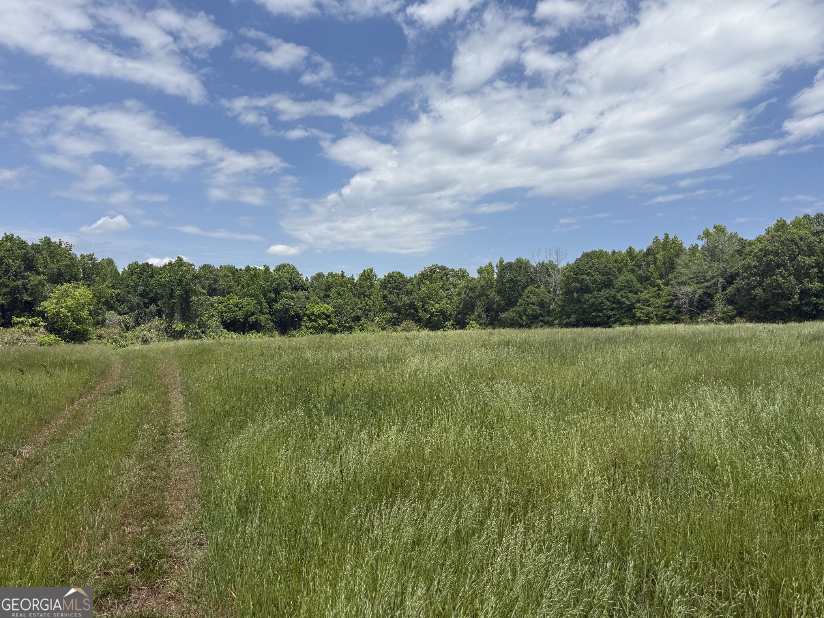 35 Ac Hwy 109 Property Photo 6