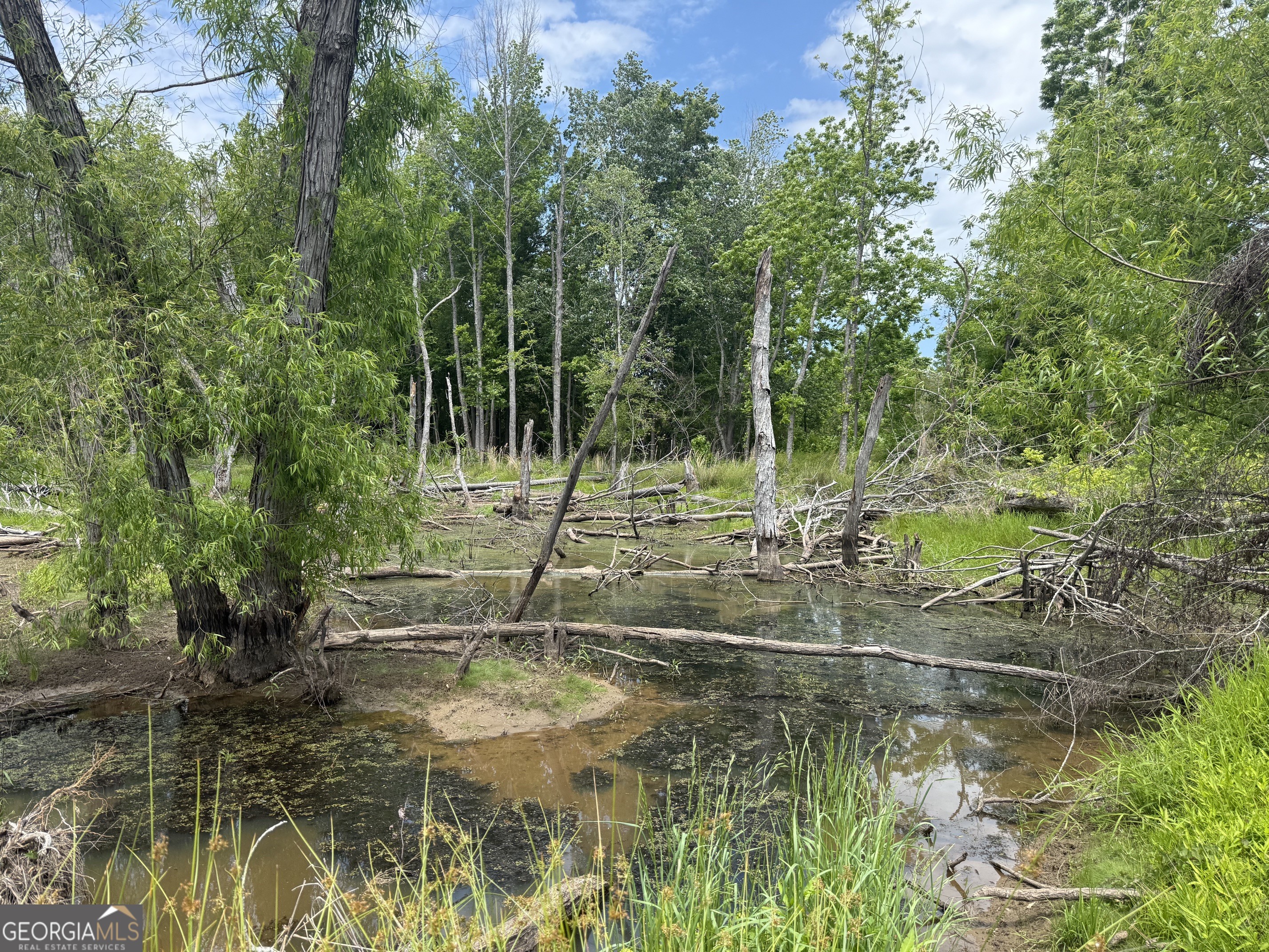 35 Ac Hwy 109 Property Photo 16