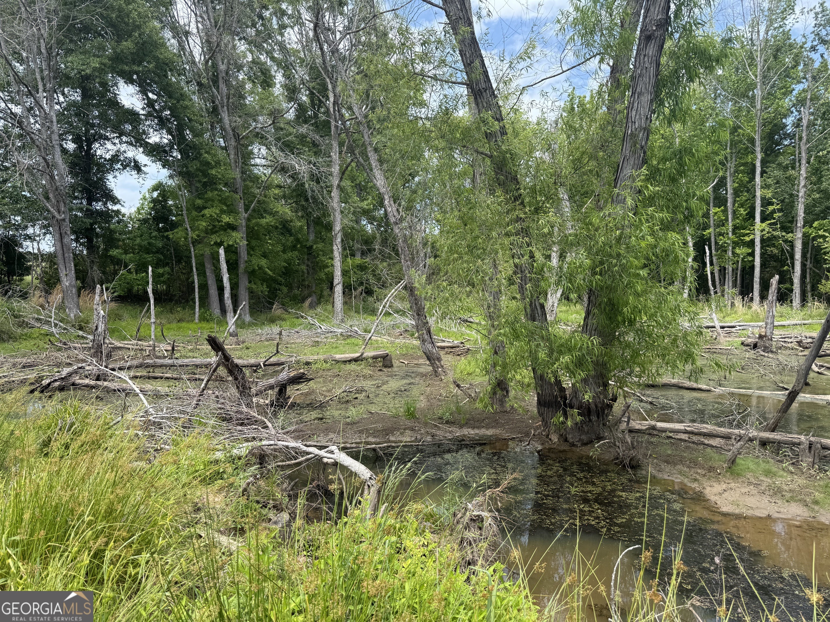 35 Ac Hwy 109 Property Photo 17