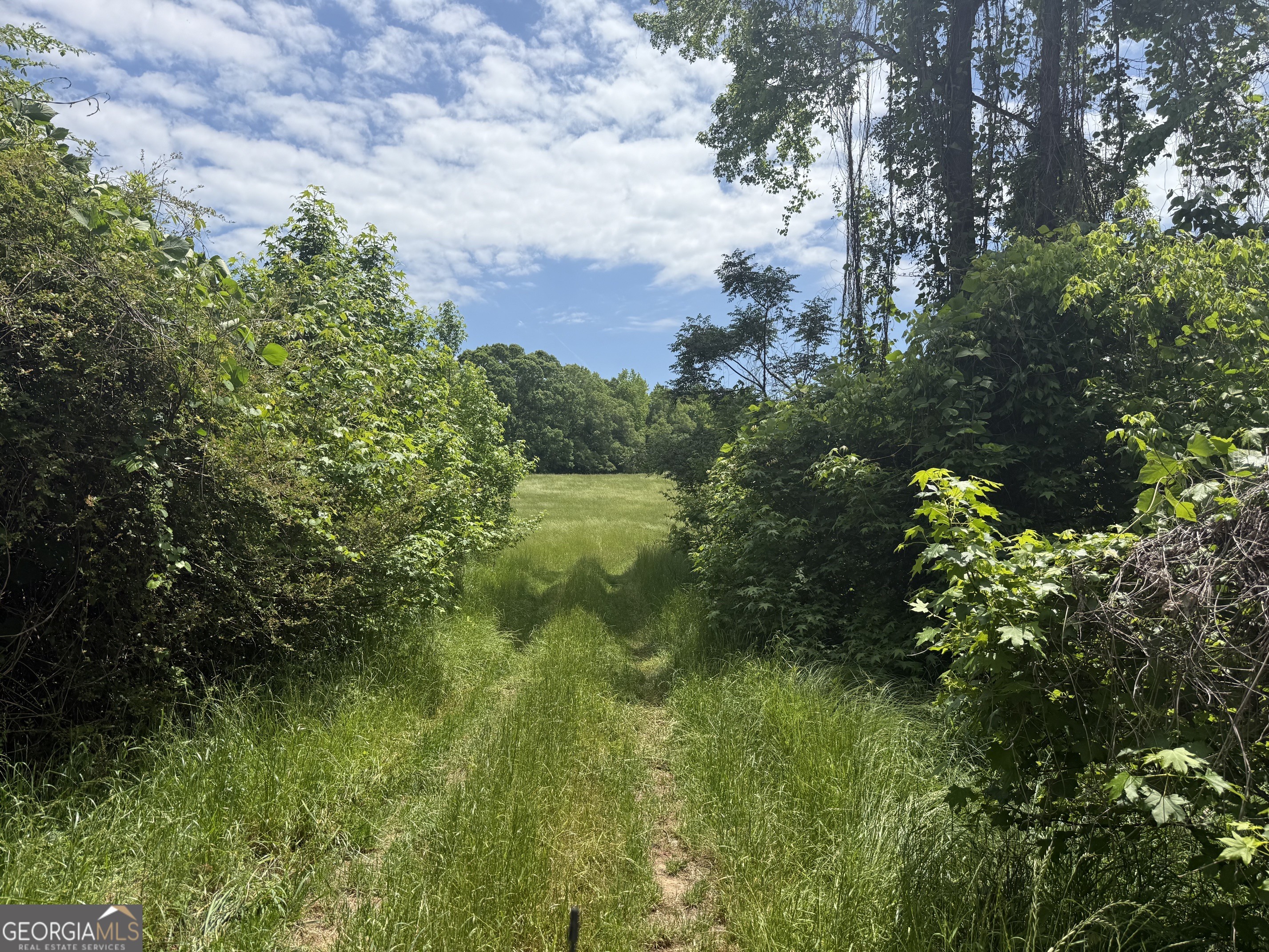 35 Ac Hwy 109 Property Photo 18