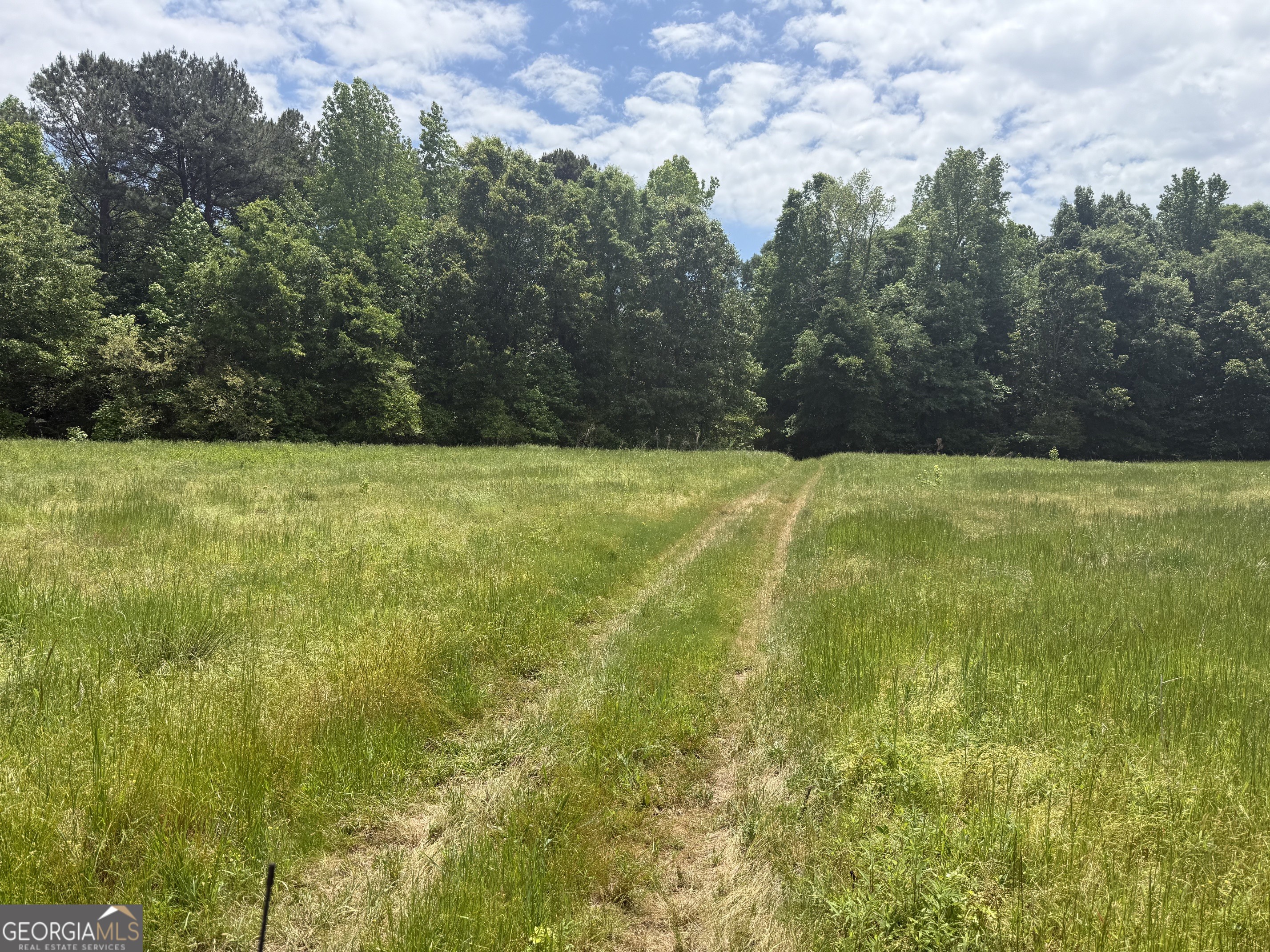 35 Ac Hwy 109 Property Photo 19
