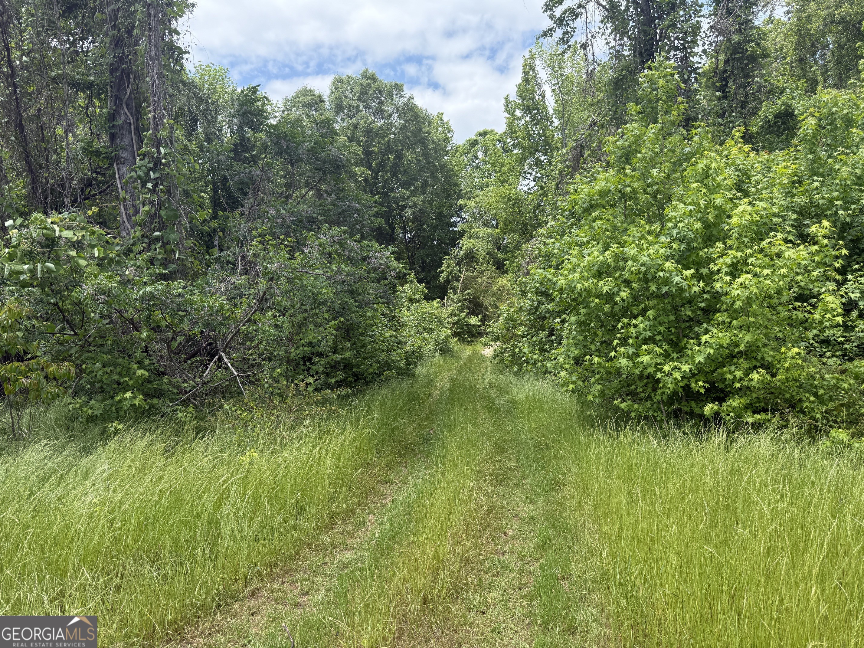35 Ac Hwy 109 Property Photo 20