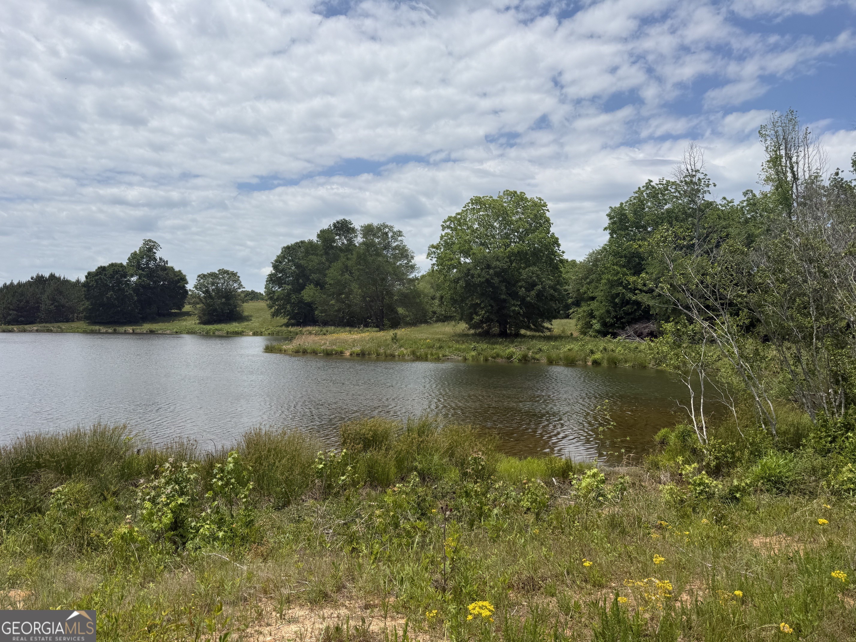 35 Ac Hwy 109 Property Photo 24